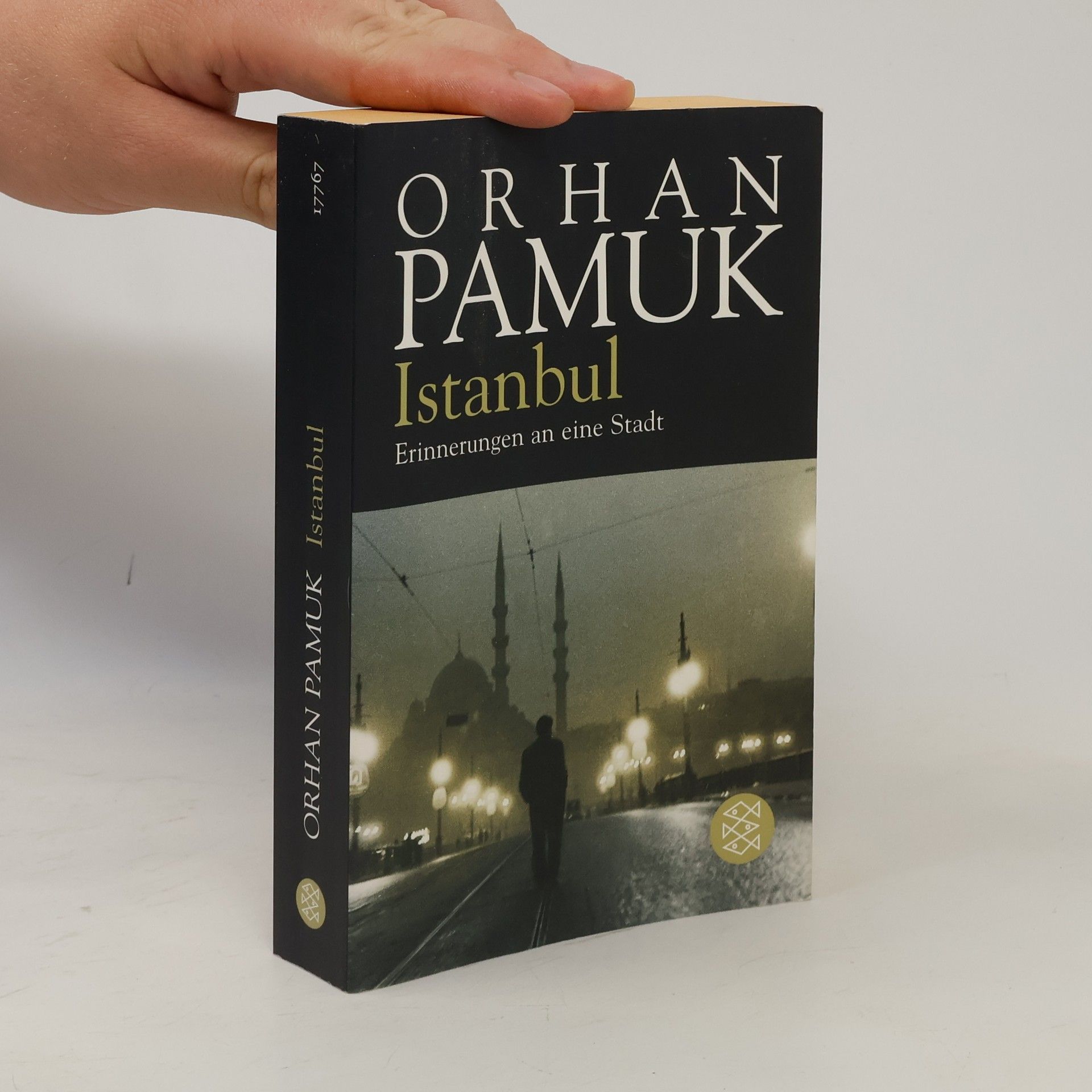 Orhan Pamuk Istanbul - Erinnerungen an eine Stadt