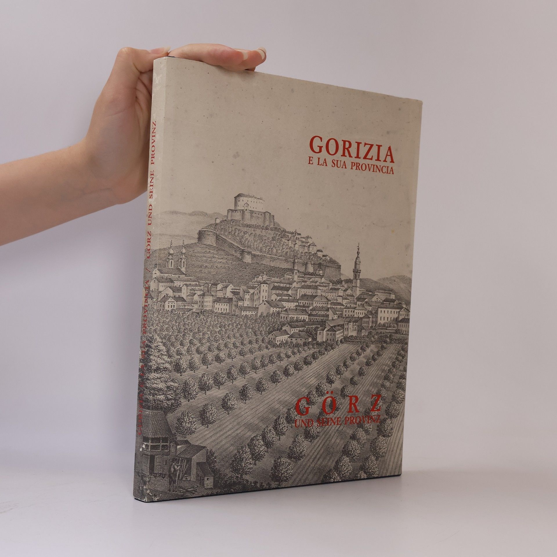 Autorenkollektiv Gorizia e la sua provincia