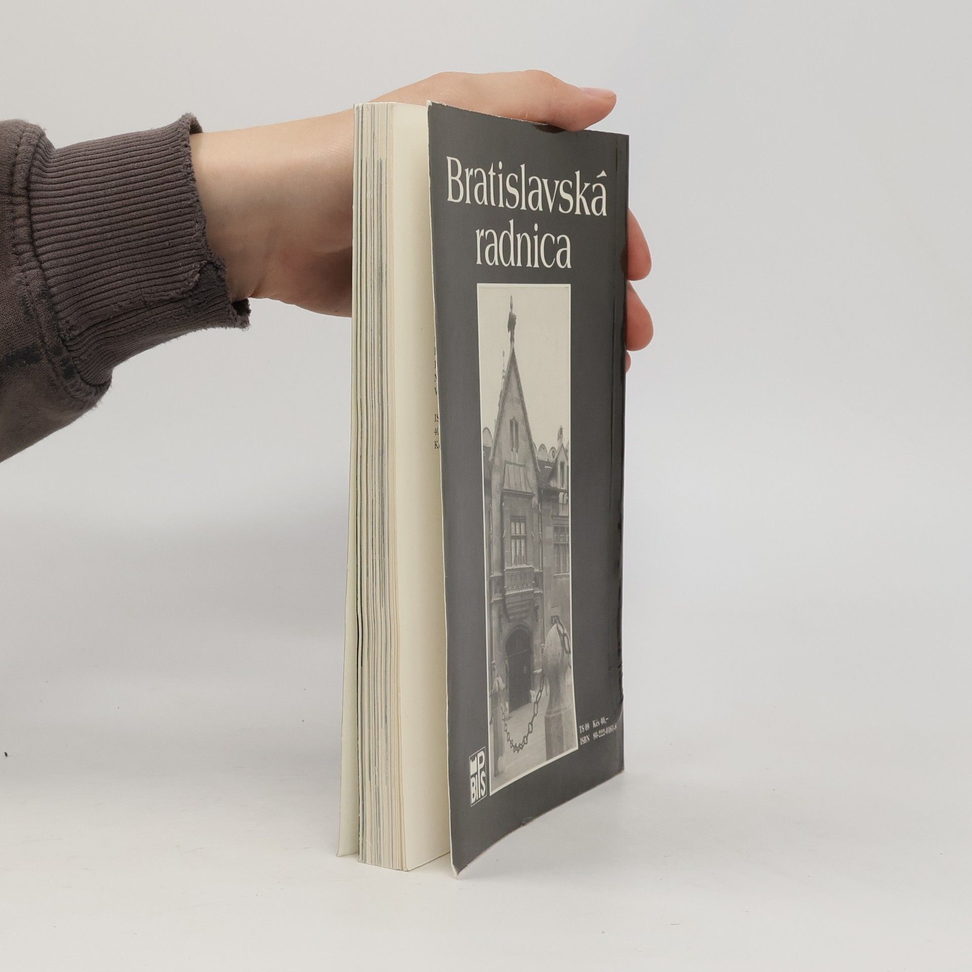 Holčík Bratislavská radnica