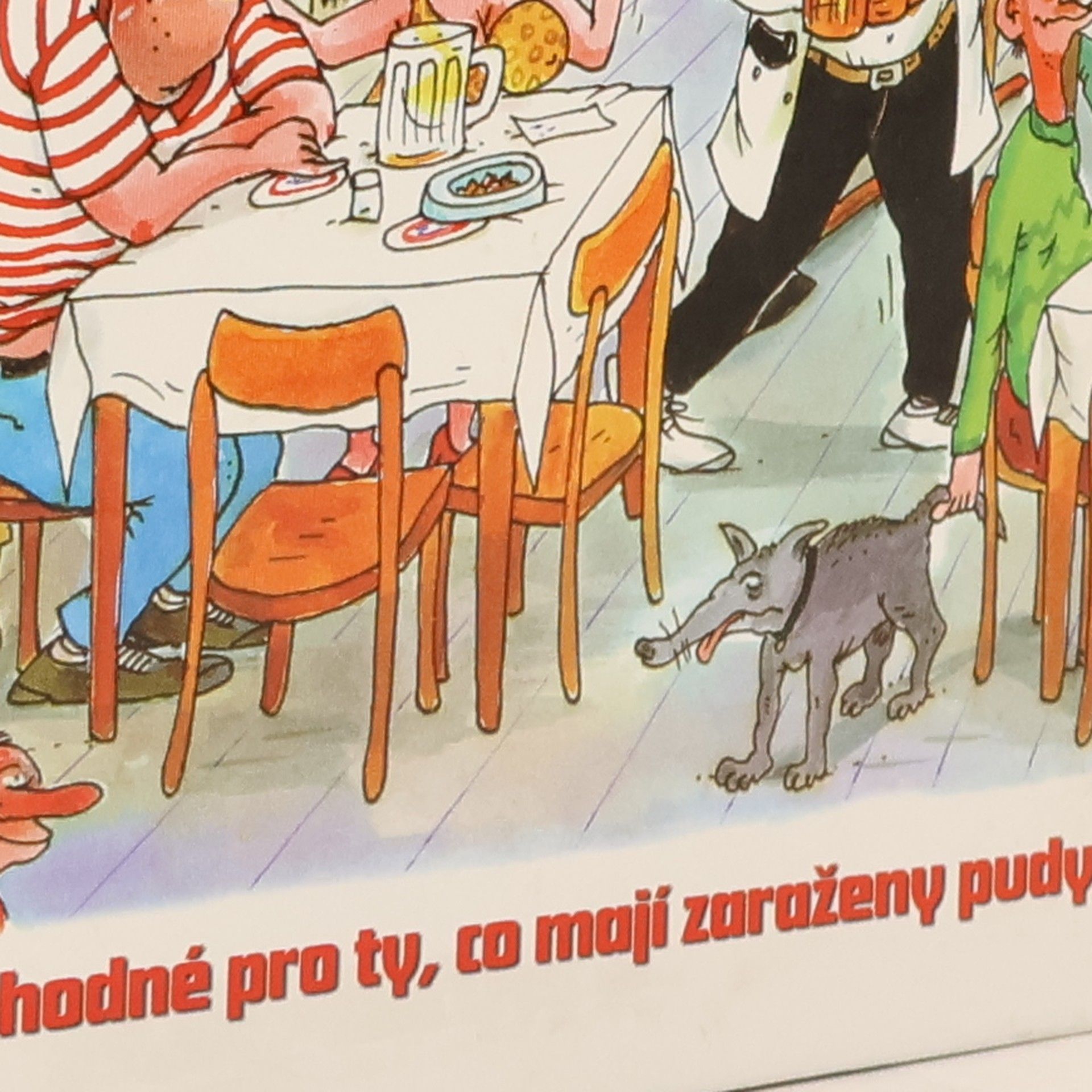 Petr Urban Pudy Rudy