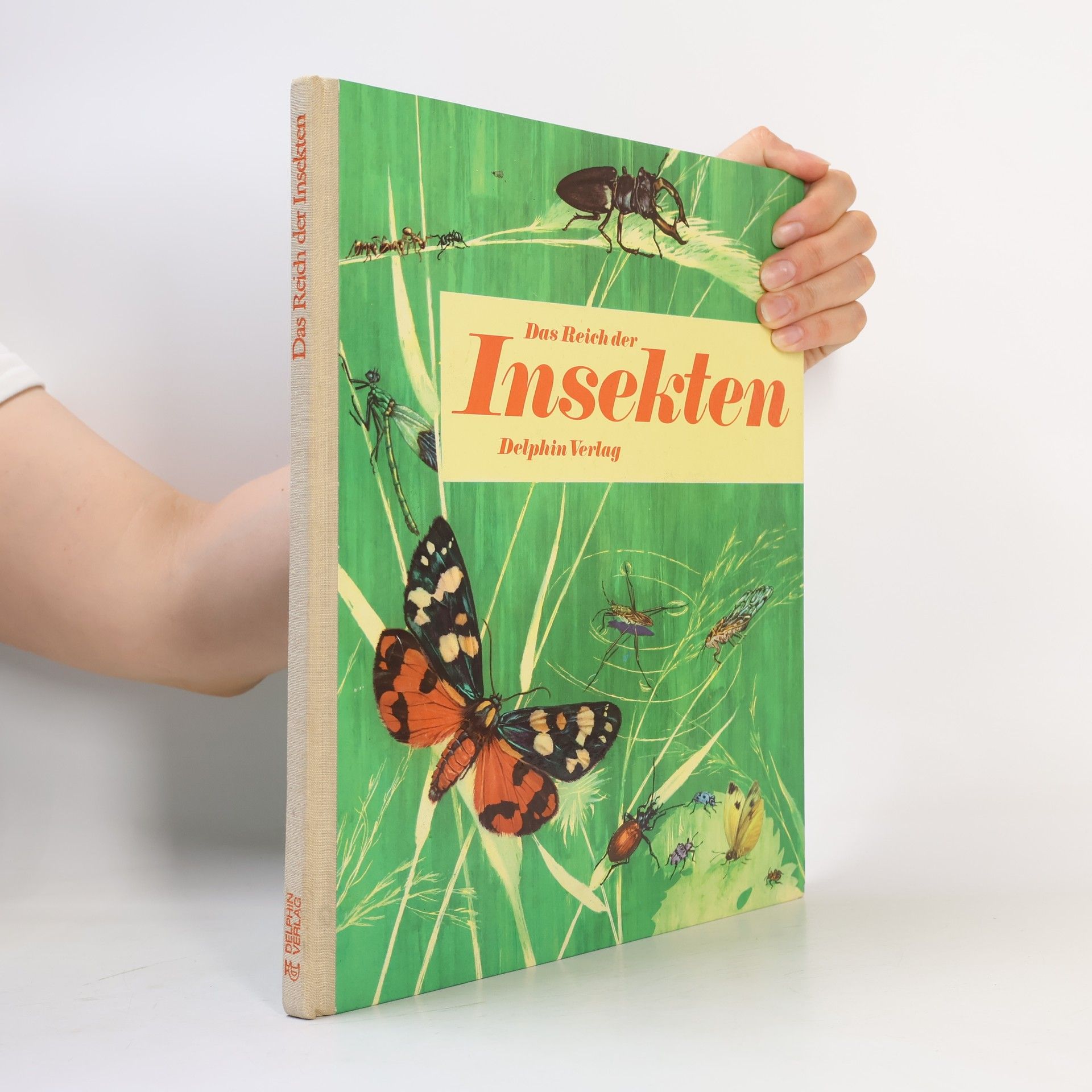 Autorenkollektiv Das Reich der Insekten