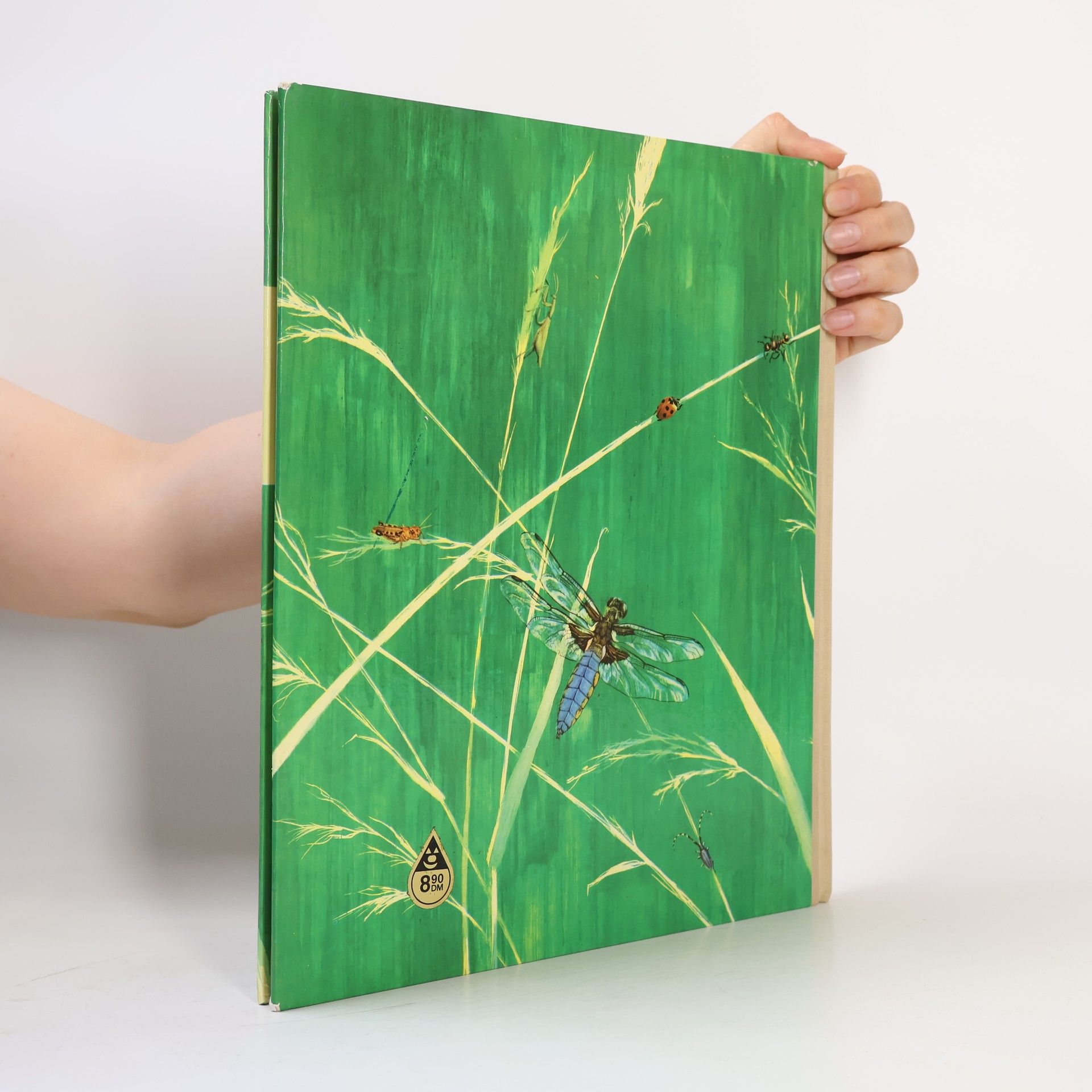 AA.VV. Das Reich der Insekten