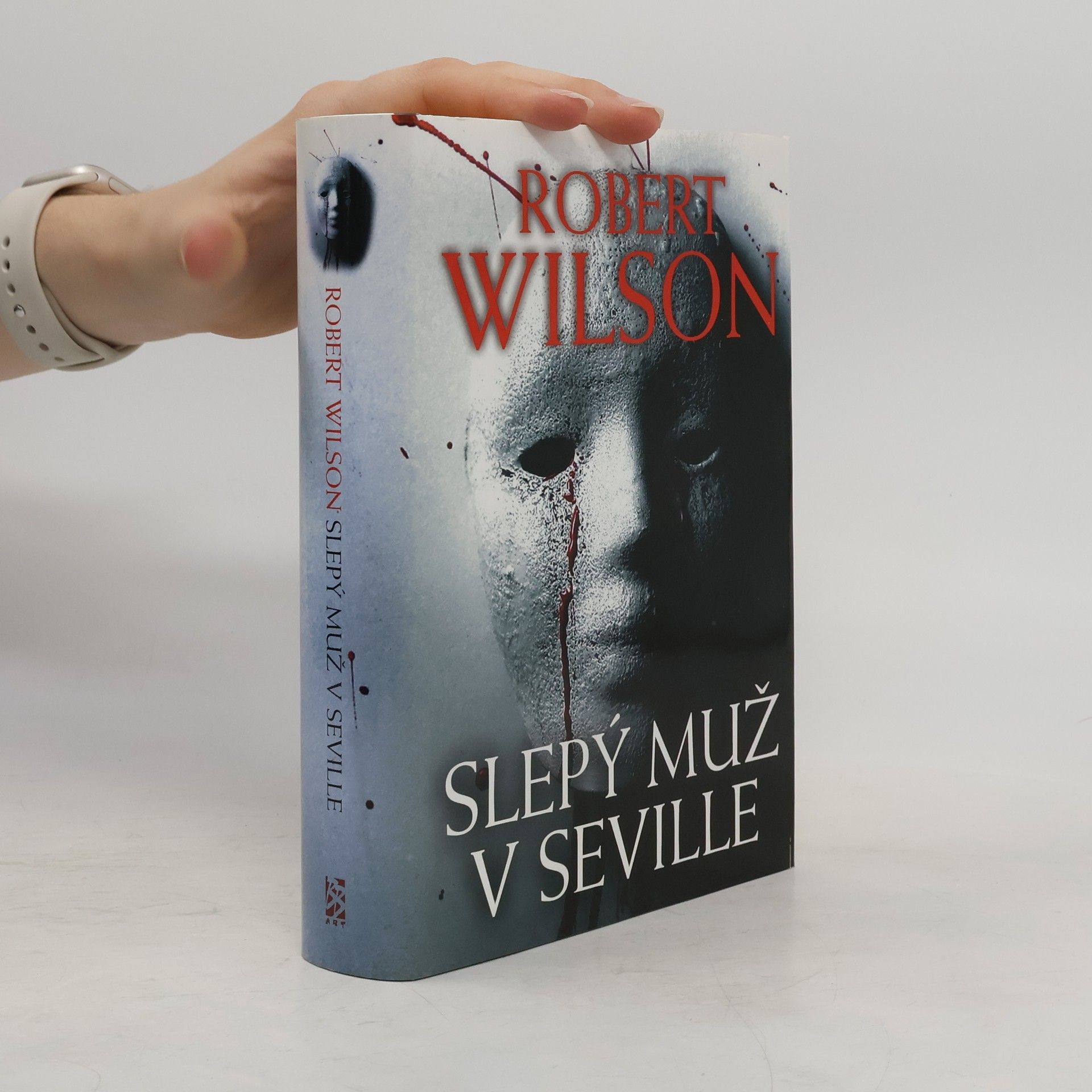 Robert Wilson Slepý muž v Seville