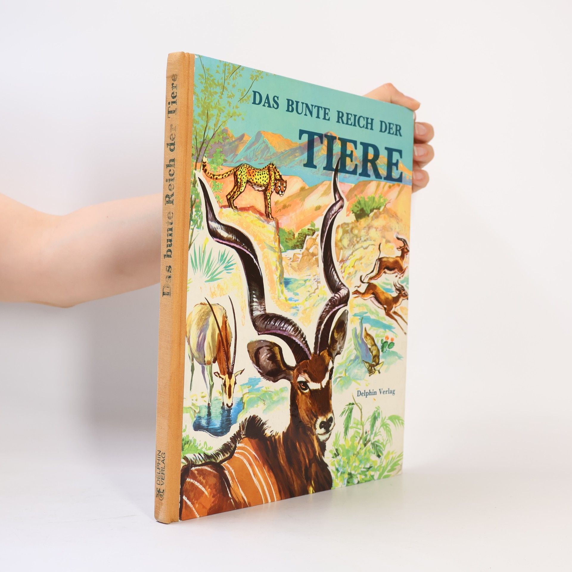 Autorenkollektiv Das bunte Reich der Tiere