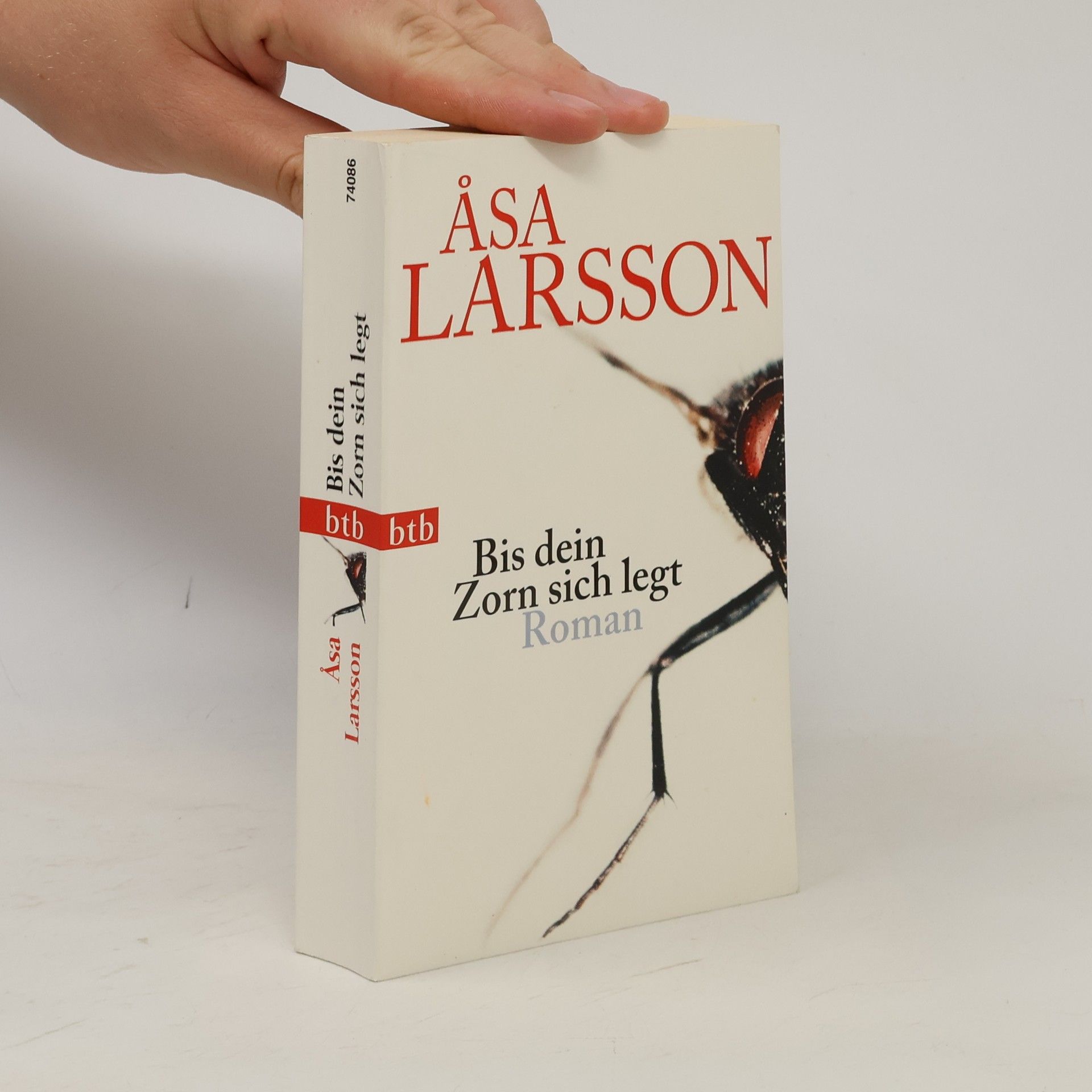 Åsa Larsson Bis dein Zorn sich legt