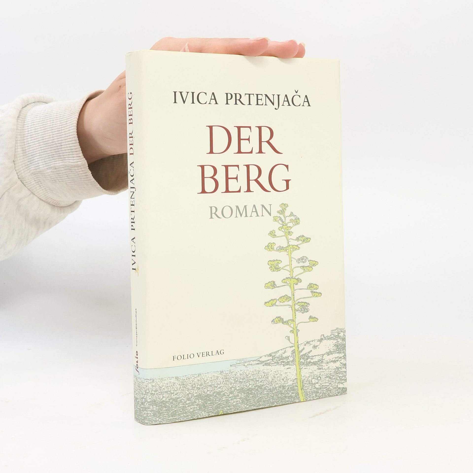 Der Berg