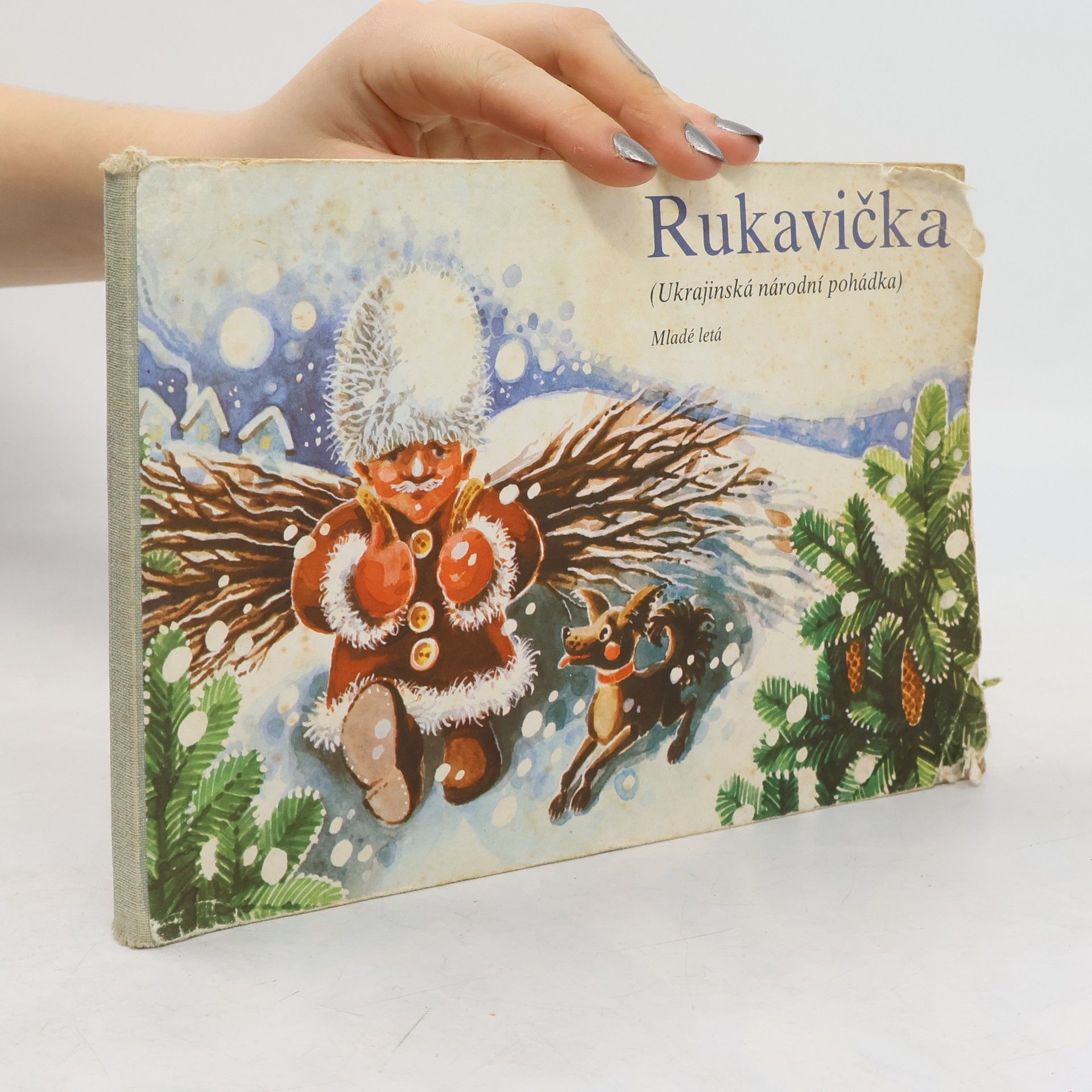 Autorenkollektiv Rukavička