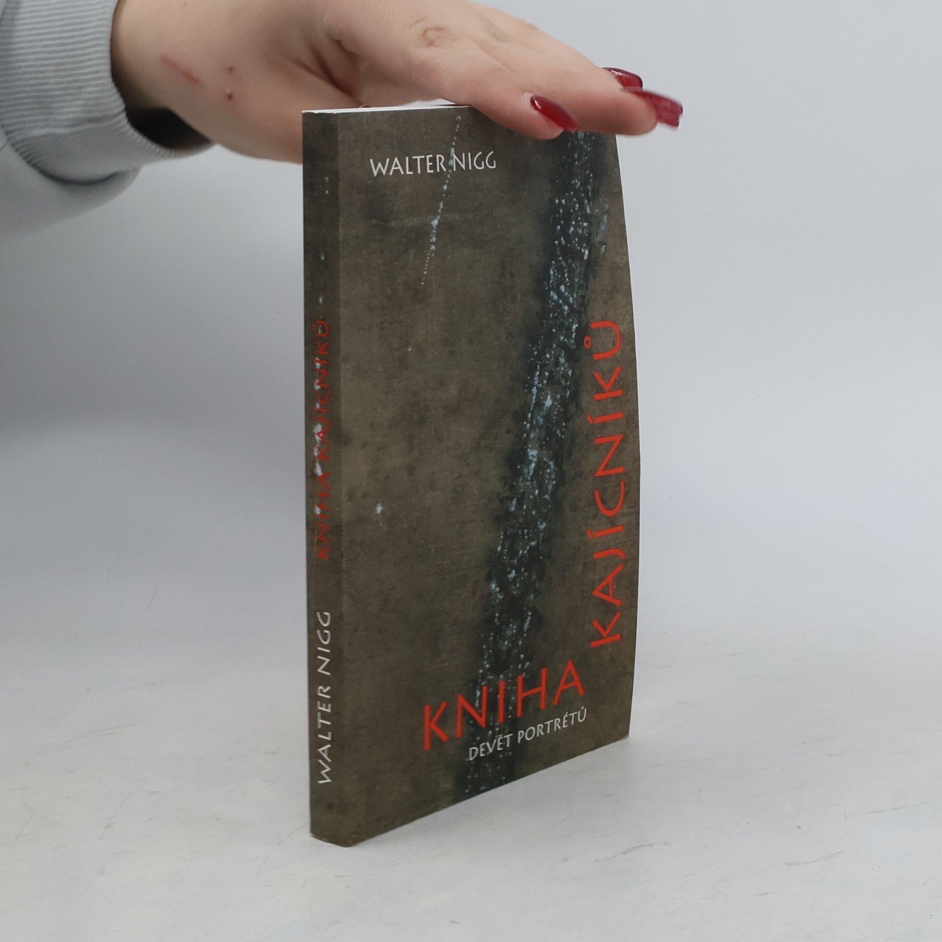 Walter Nigg Kniha kajícníků