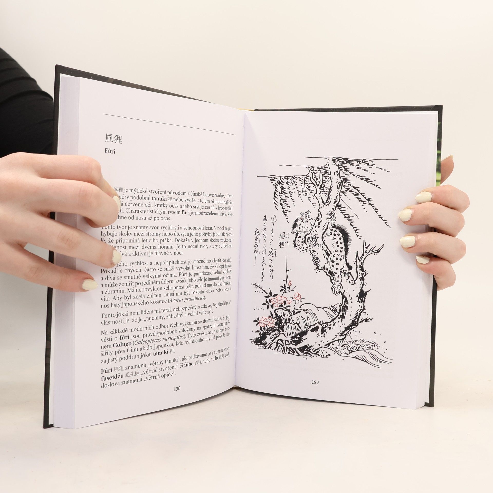 Antonín Nowak Japonská strašidla jókai. Díl první