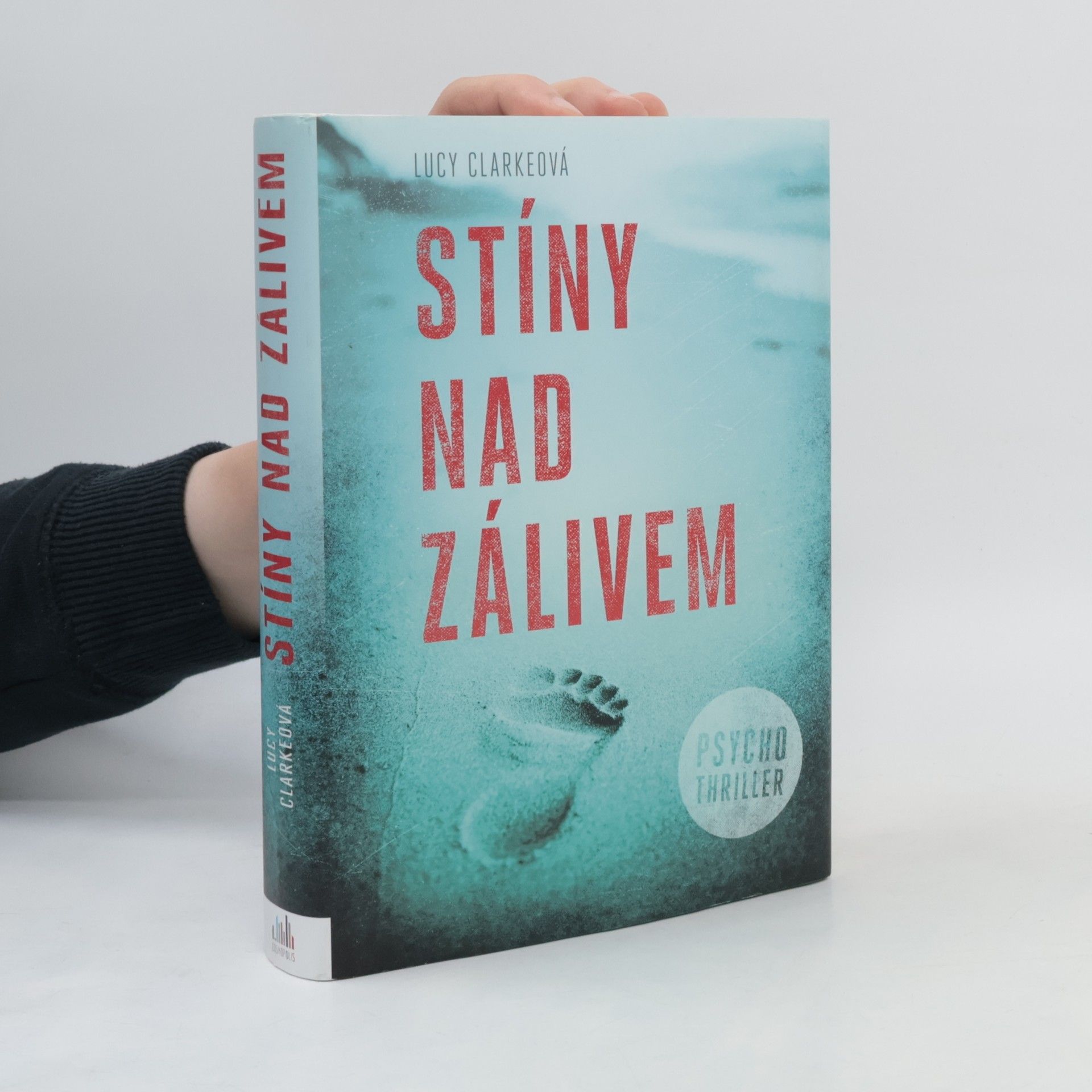 Lucy Clarke Stíny nad zálivem