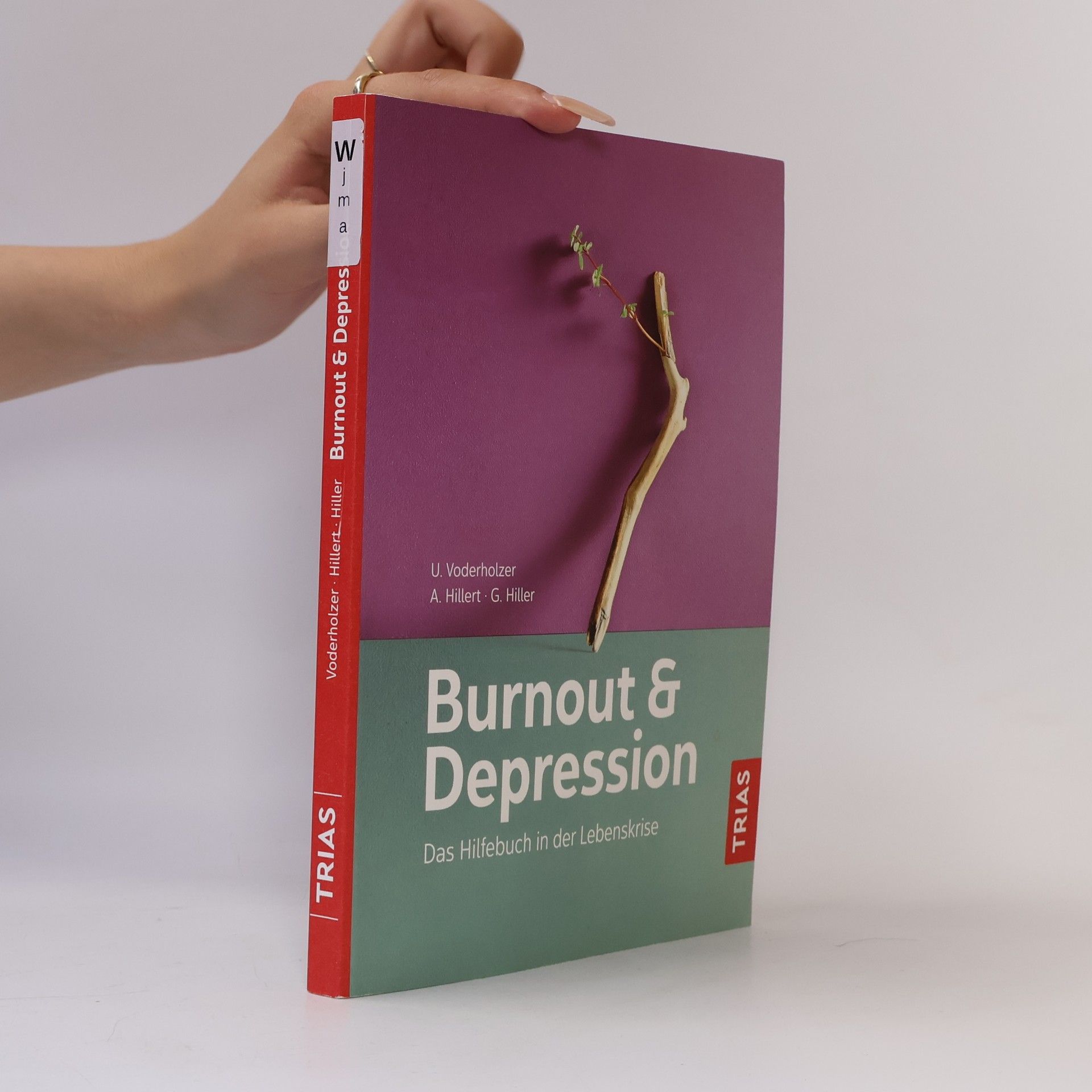 Ulrich Voderholzer Burnout und Depression