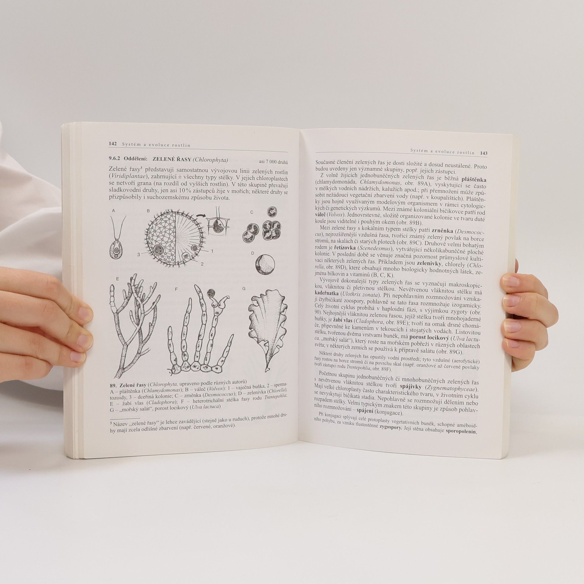 Lubomír Kincl Biologie rostlin: Pro 1. ročník gymnázií