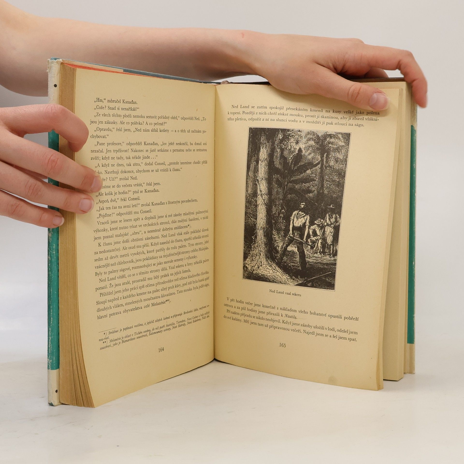 Jules Verne Dvacet tisíc mil pod mořem