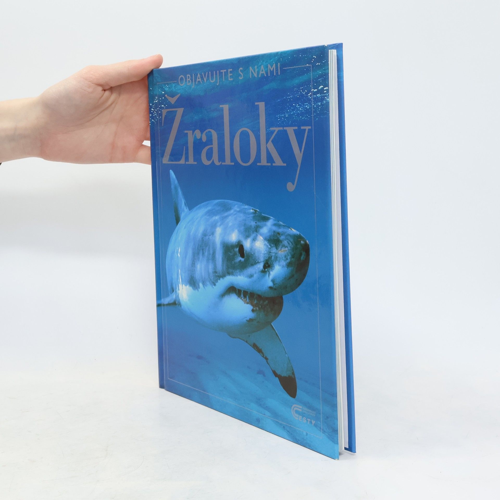 Žraloky