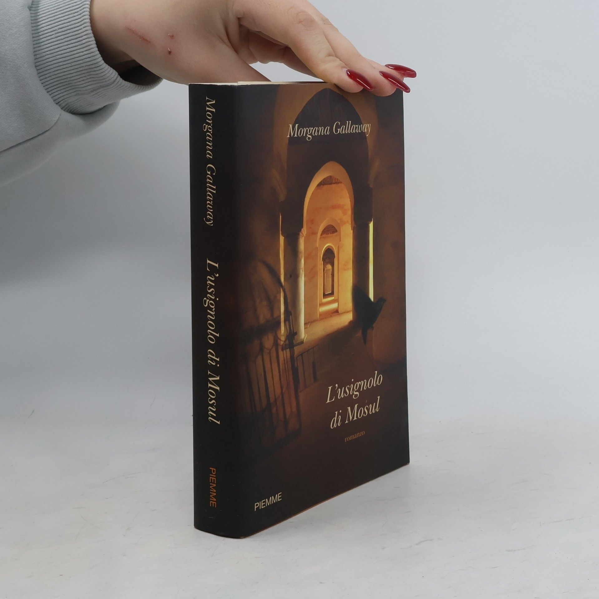 Morgana Gallaway L'usignolo di Mosul
