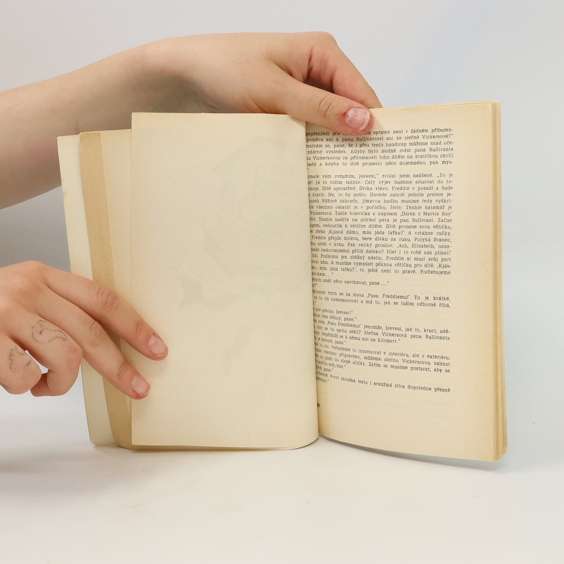 Pelham Wodehouse Případů se ujímá Jeeves