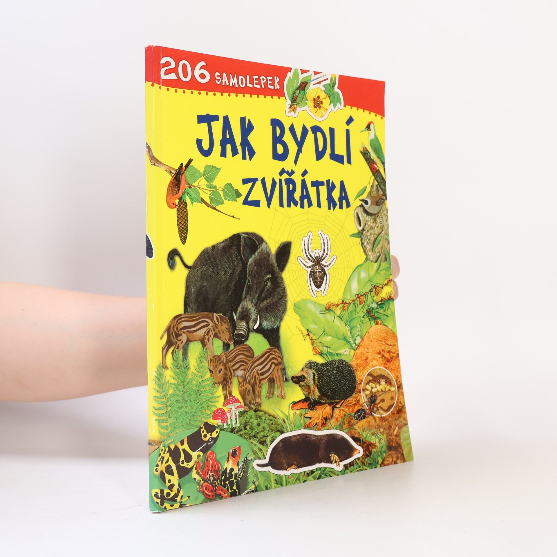 Autorenkollektiv Jak bydlí zvířátka