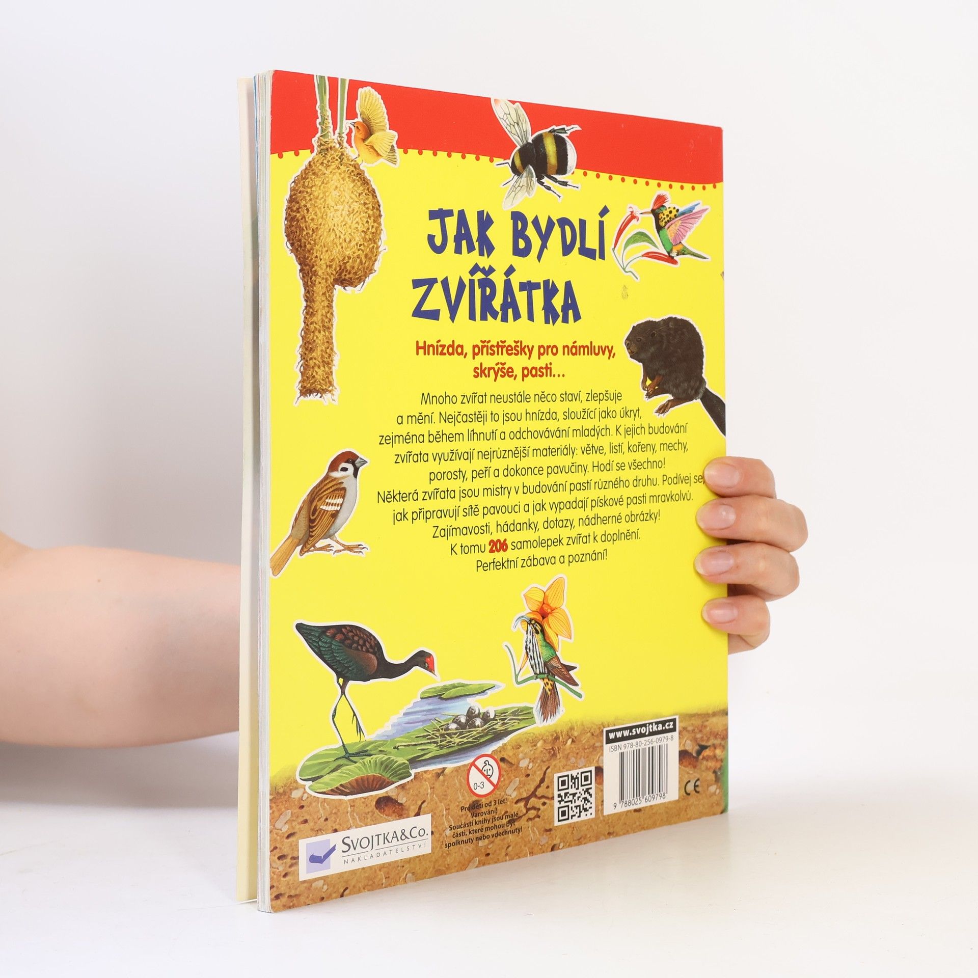 Autorenkollektiv Jak bydlí zvířátka