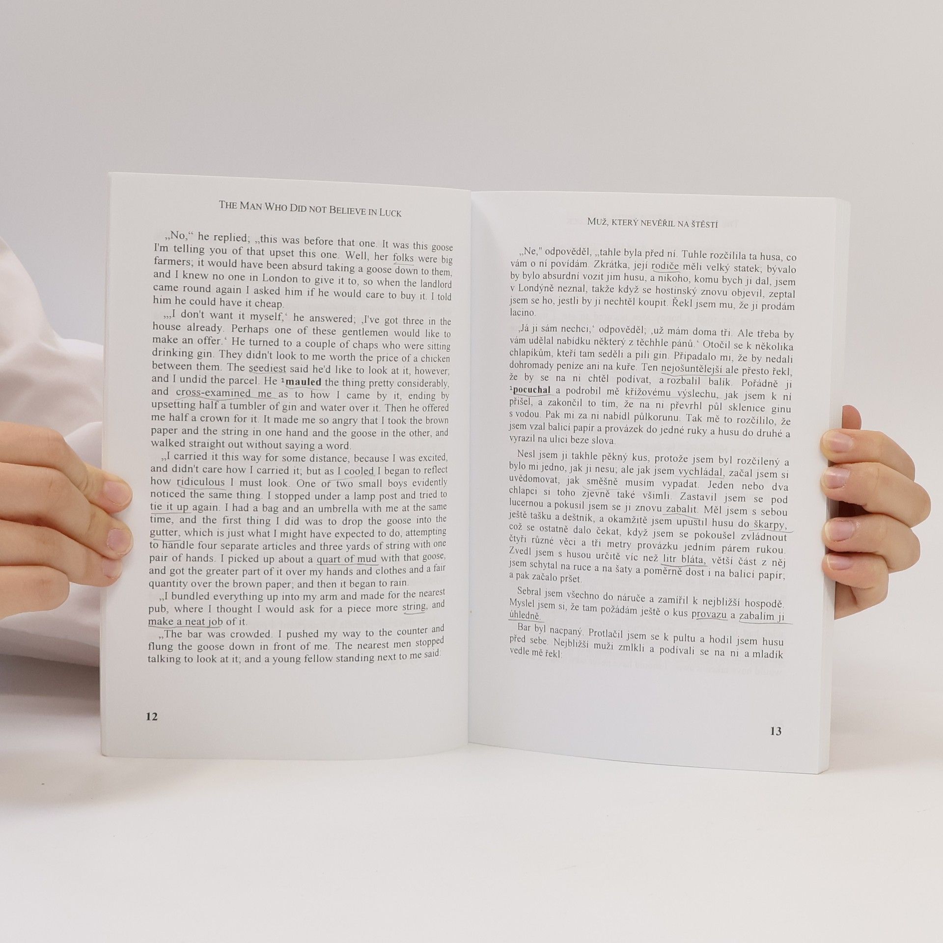 Edgar Allan Poe English Stories. Anglické povídky: Dvojjazyčné čtení