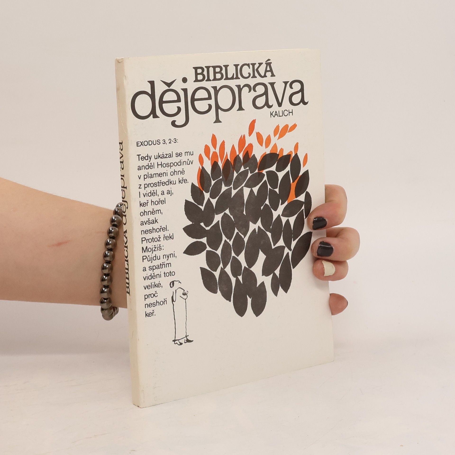 Viktor Hájek Biblická dějeprava