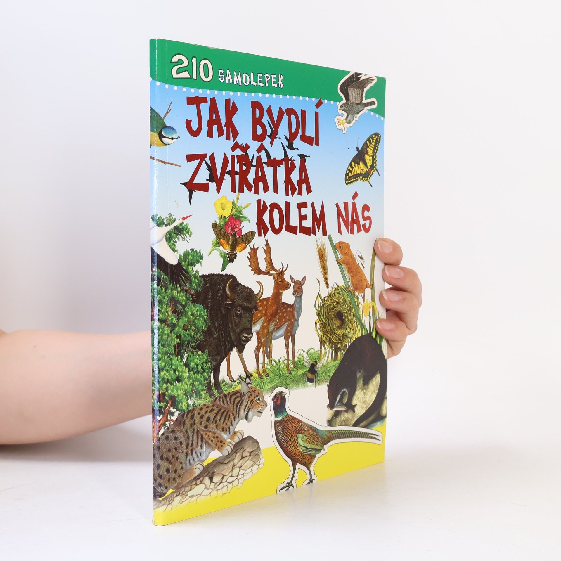 Autorenkollektiv Jak bydlí zvířátka kolem nás