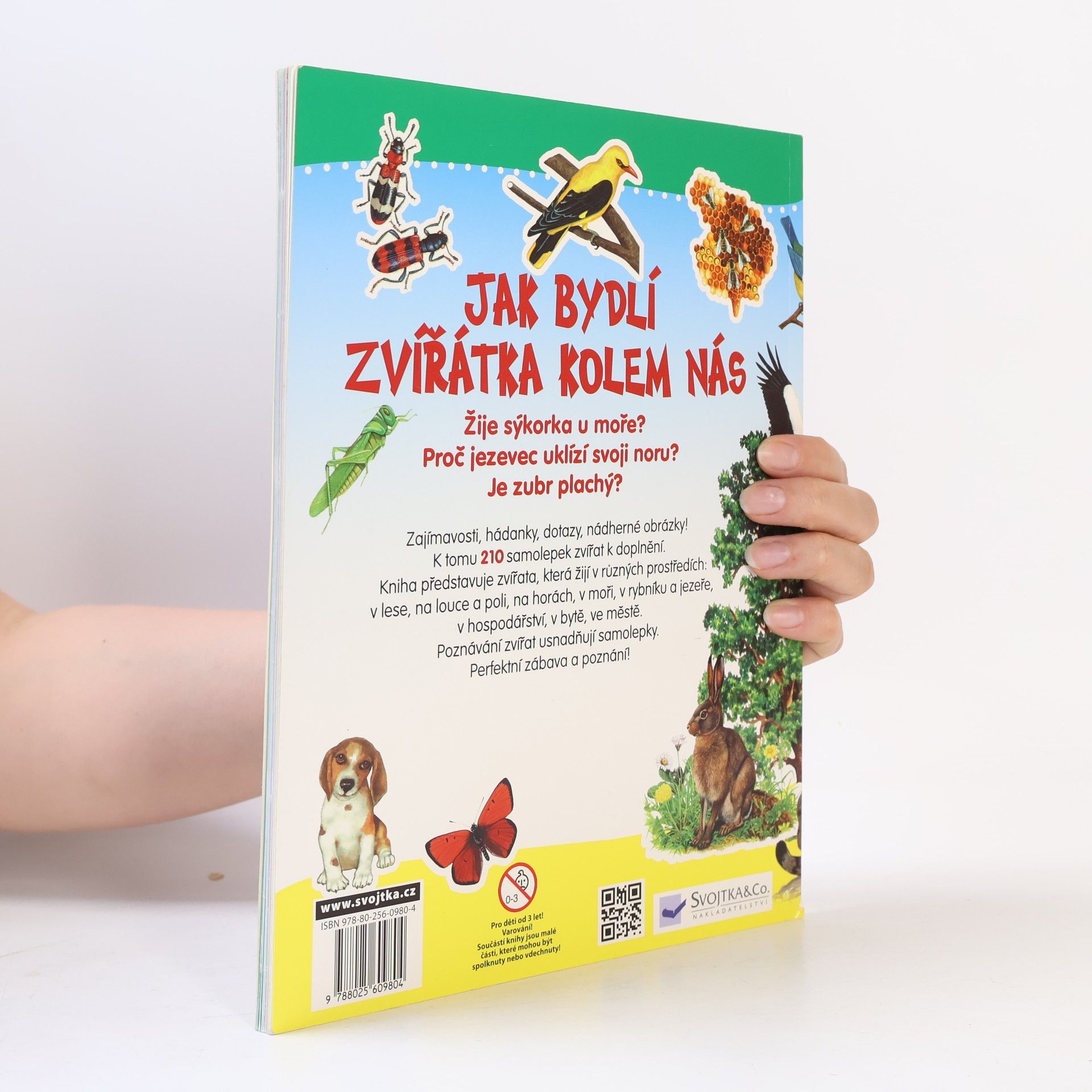 Various authors Jak bydlí zvířátka kolem nás