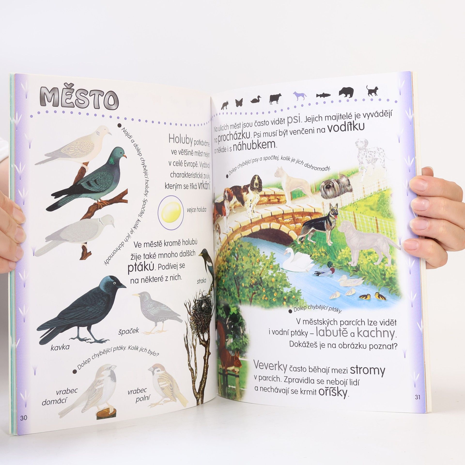 Various authors Jak bydlí zvířátka kolem nás