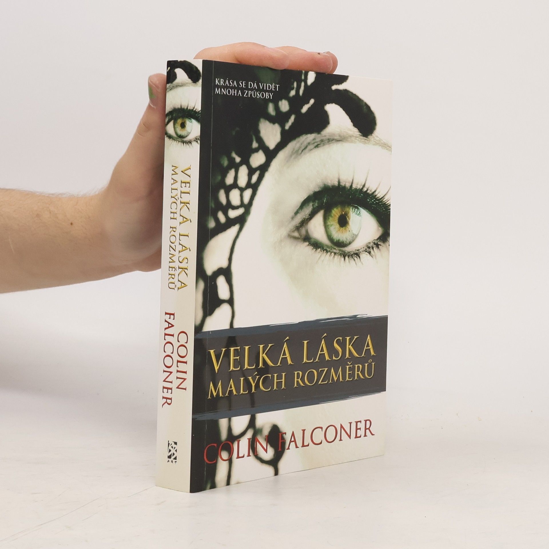 Colin Falconer Velká láska malých rozměrů