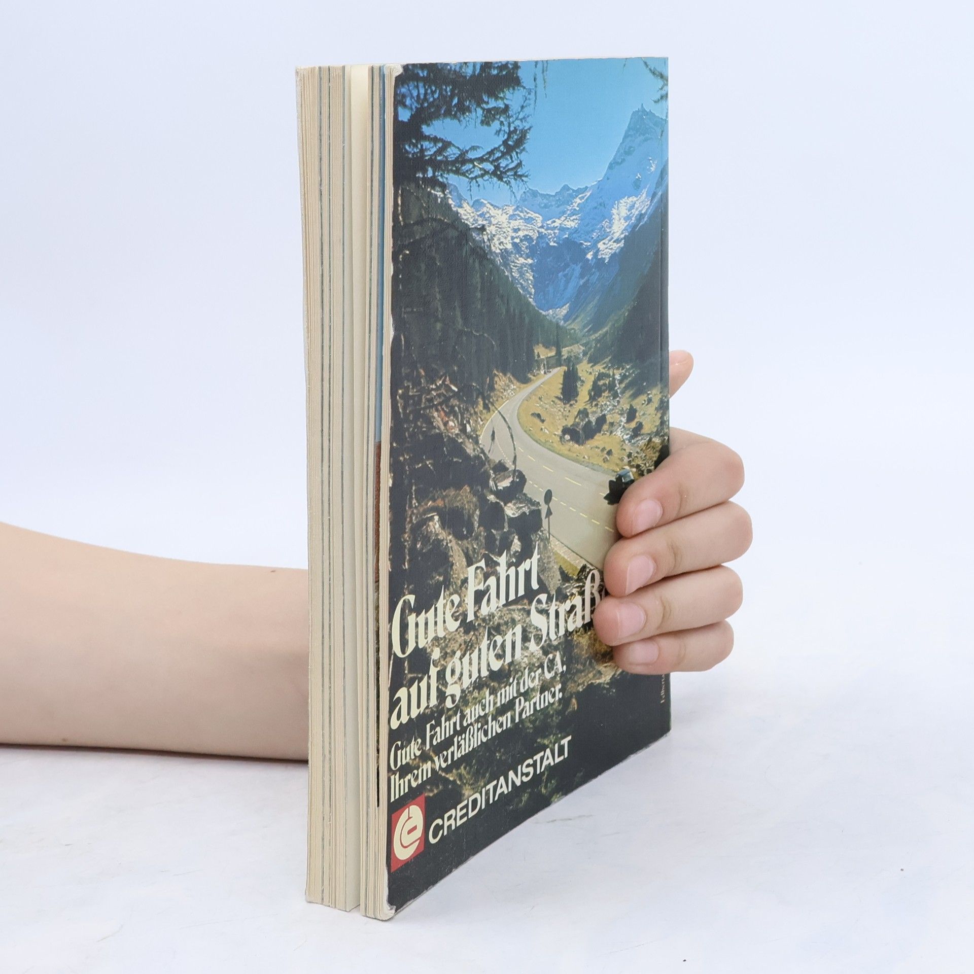 Pia Maria Plechl Land der Berge