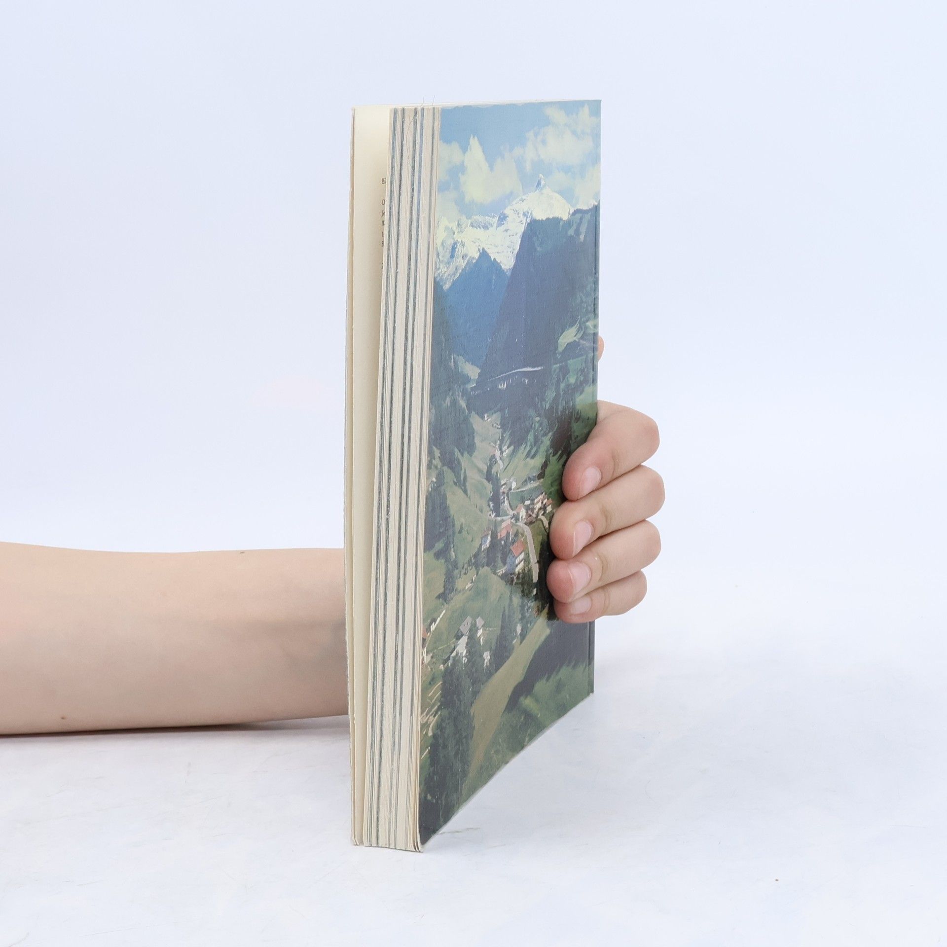 Pia Maria Plechl Land der Berge