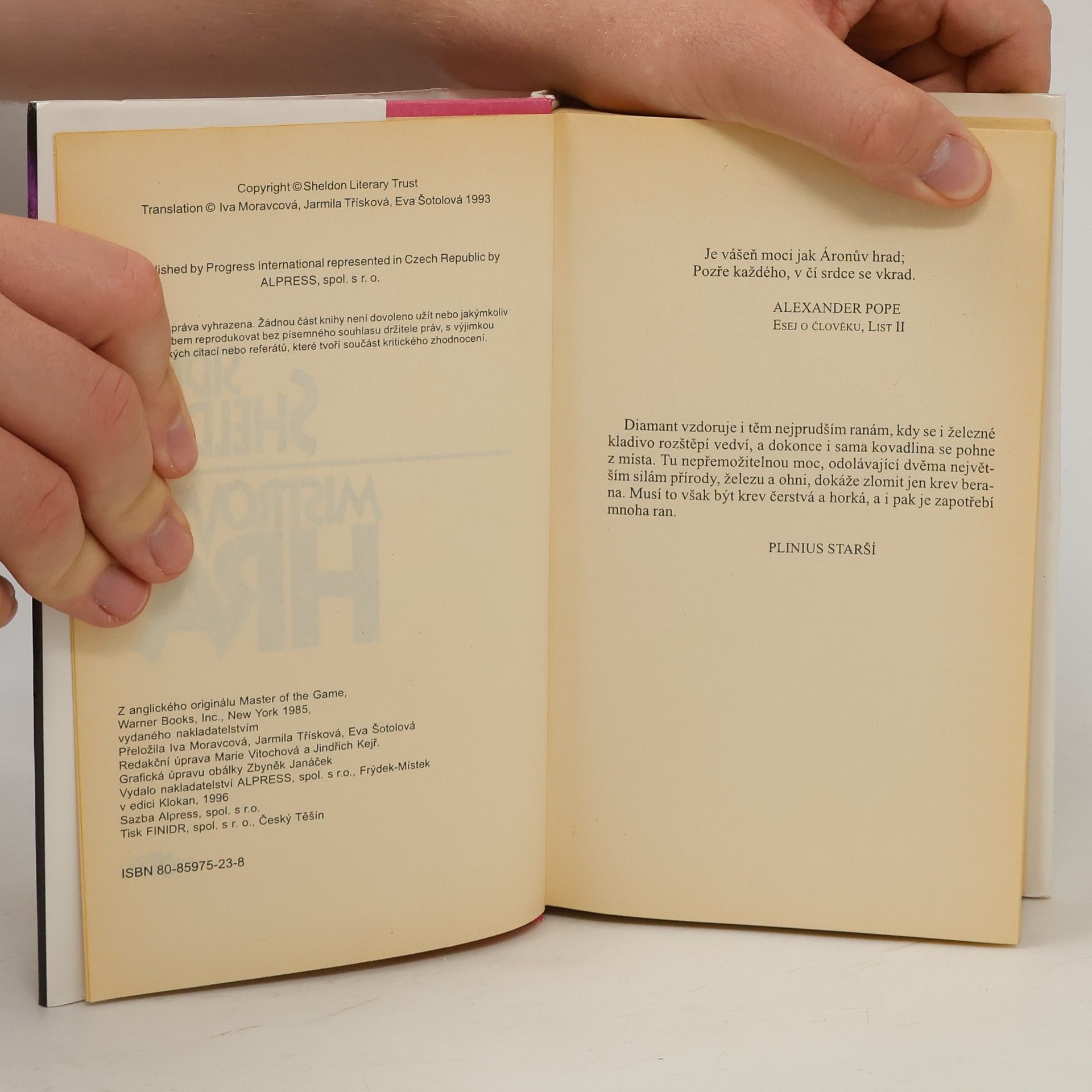 Sidney Sheldon Mistrovská hra