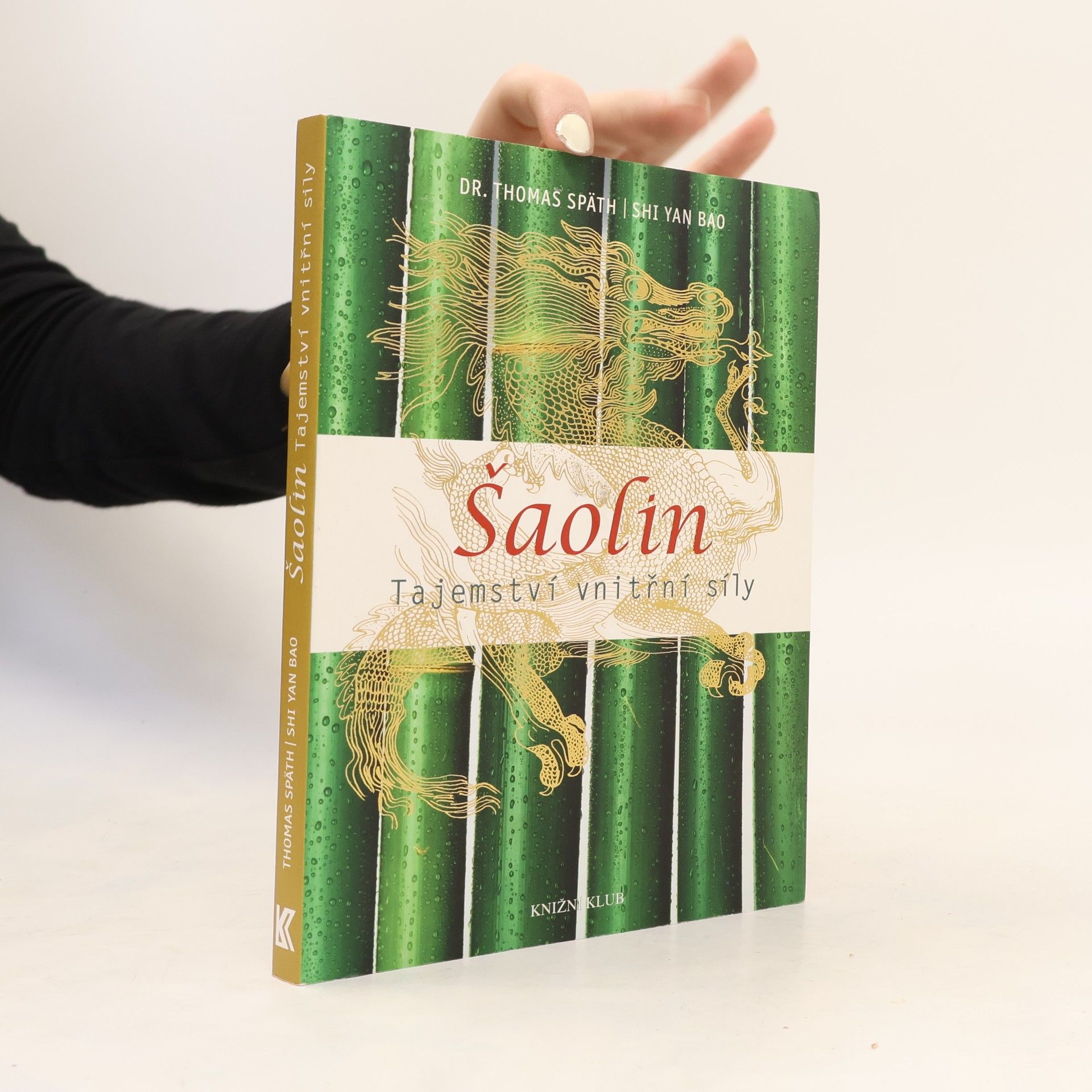 Šaolin: tajemství vnitřní síly