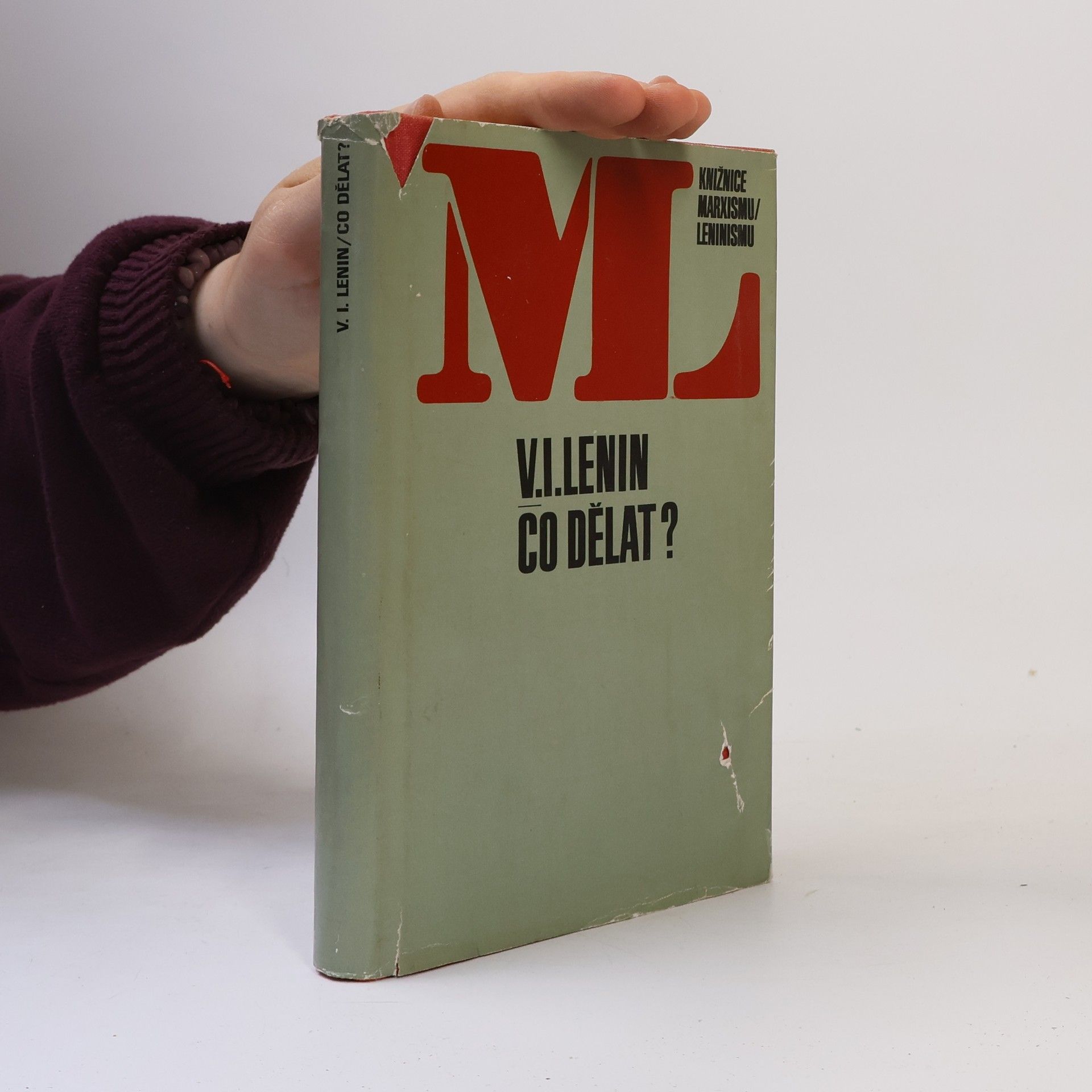Vladimir Iljič Lenin Co dělat?