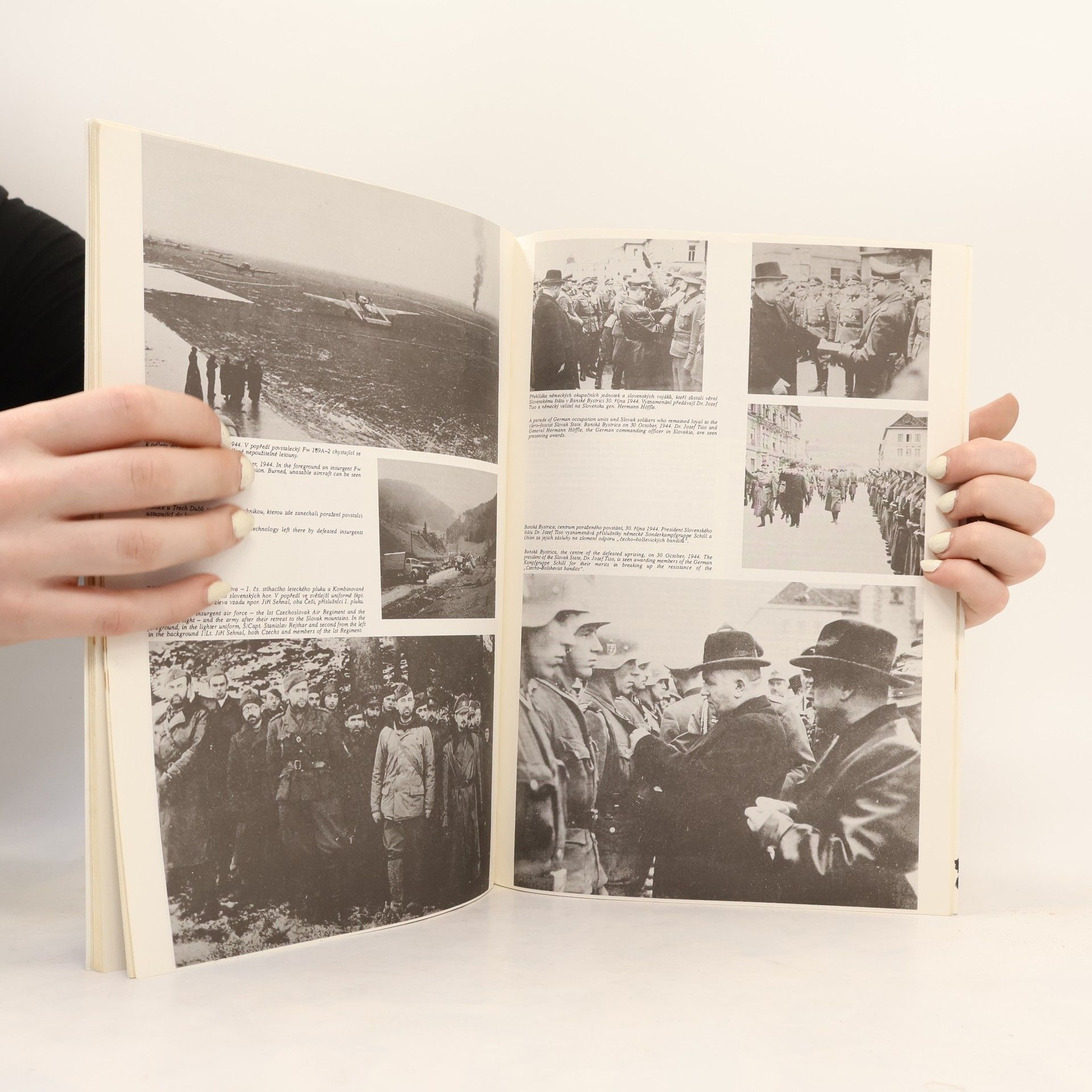 Jiří Rajlich Slovenští letci 1939-1945