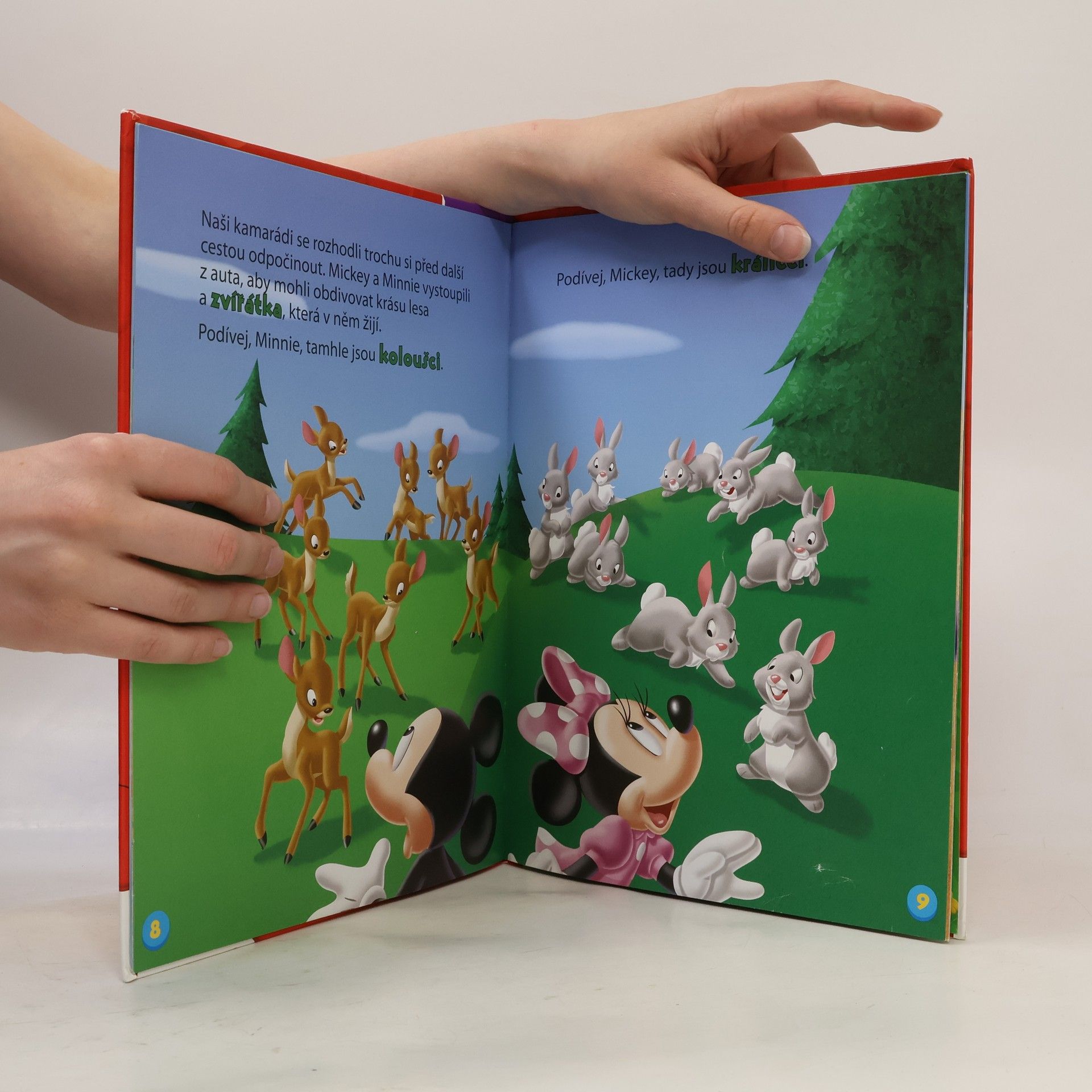 Autorenkollektiv Mickeyho klubík. Hraj si a uč se s Mickey Mousem 13. Živočichové!