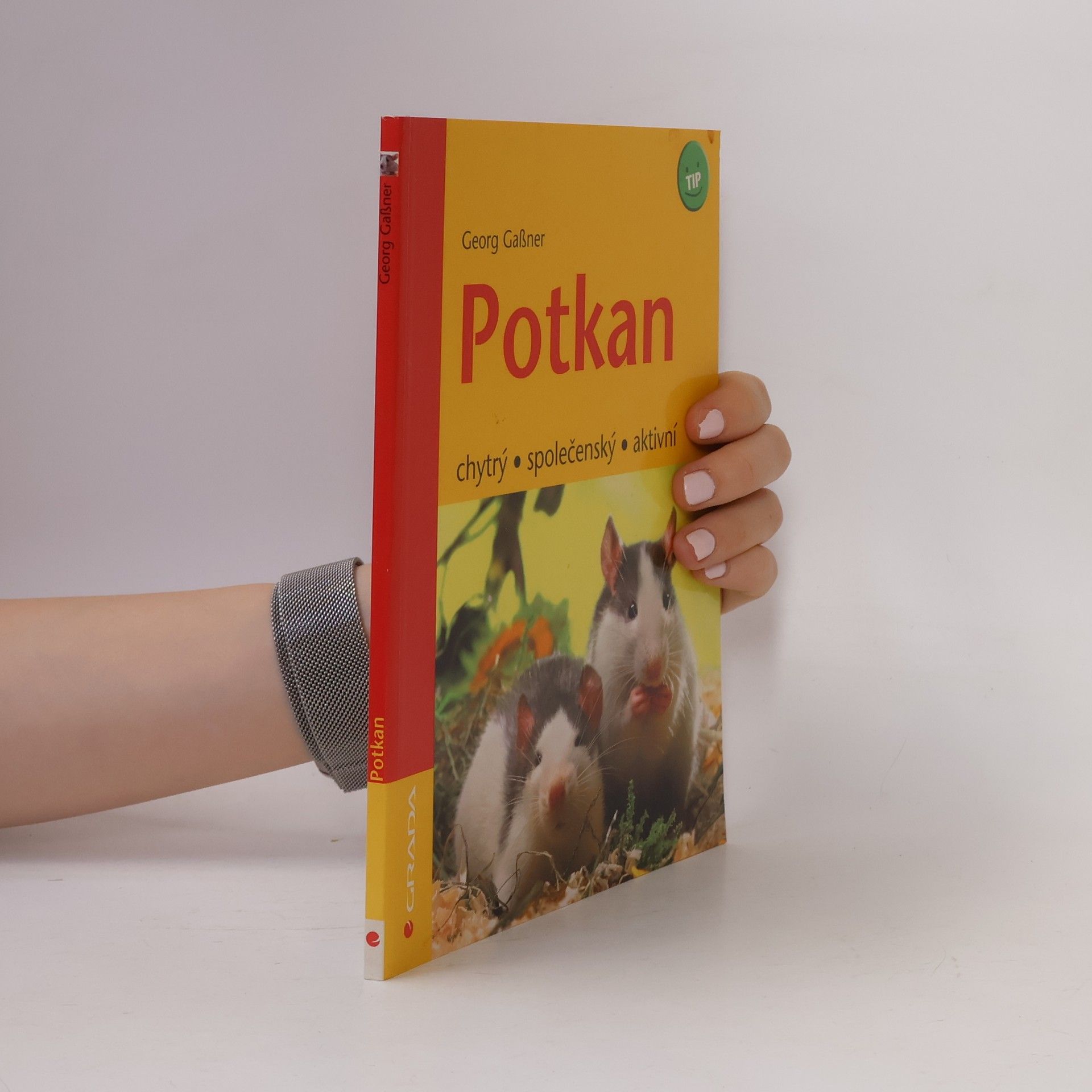 Georg Gaβner Potkan - chytrý, společenský, aktivní