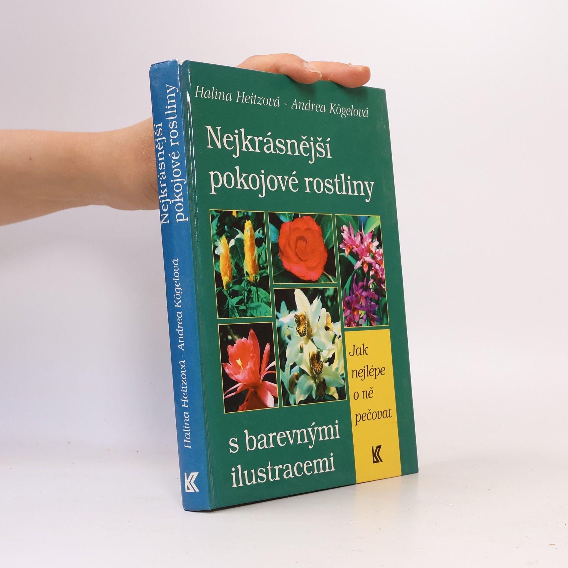 Nejkrásnější pokojové rostliny