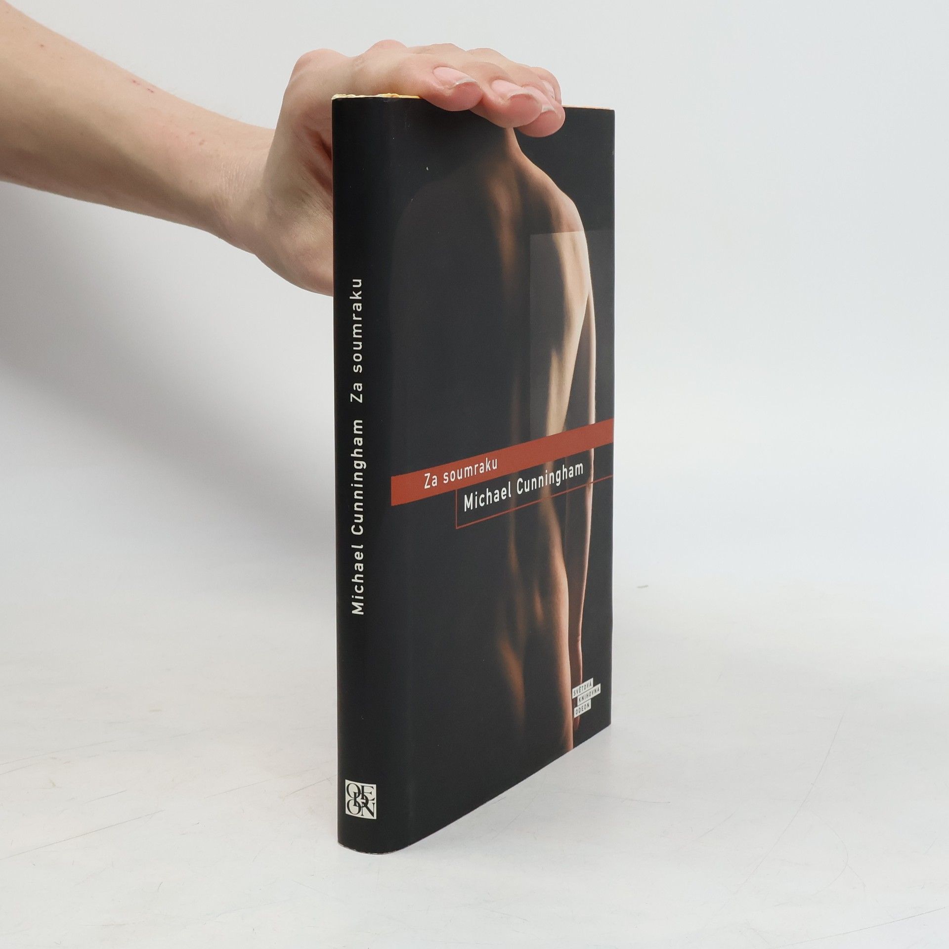 Michael Cunningham Za soumraku