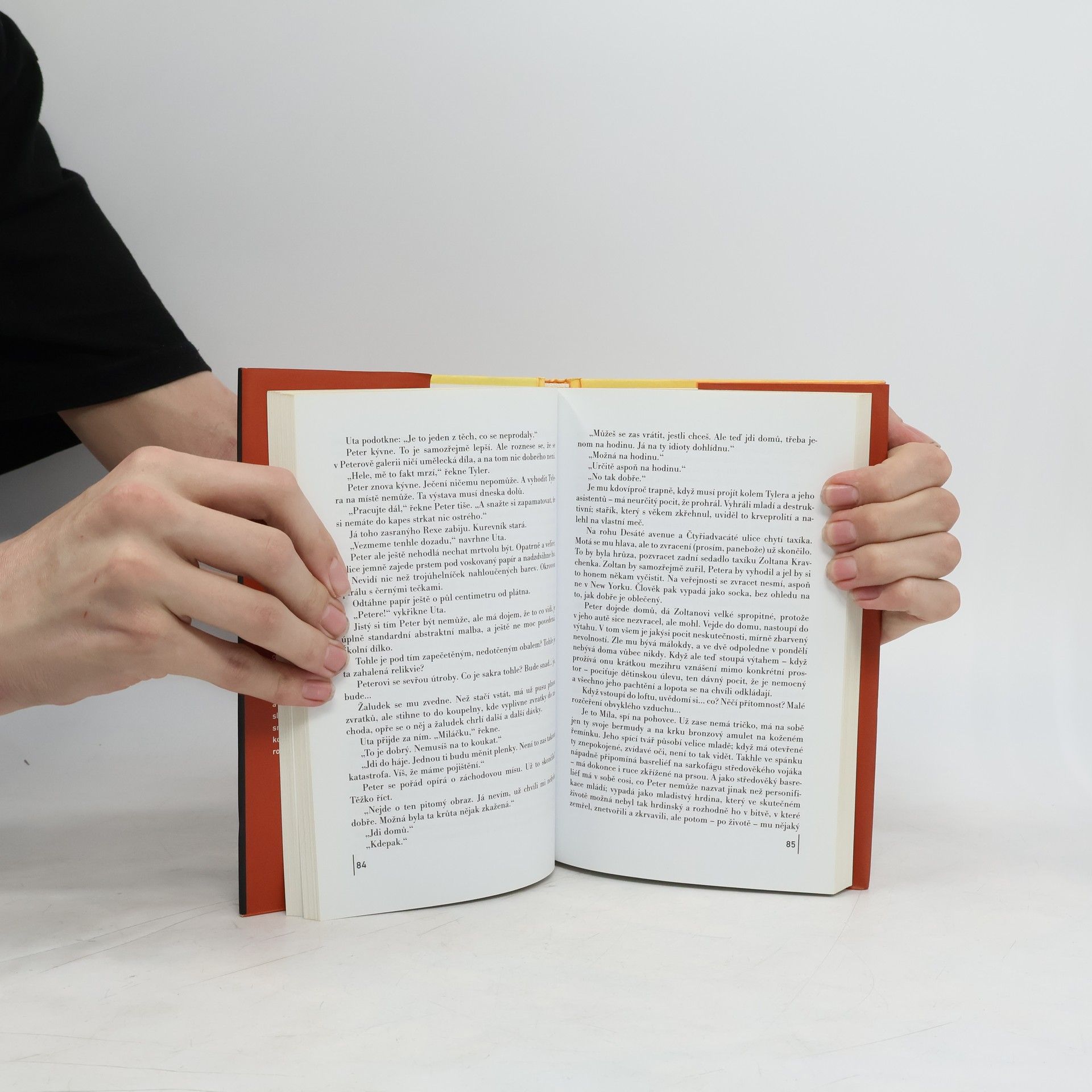Michael Cunningham Za soumraku