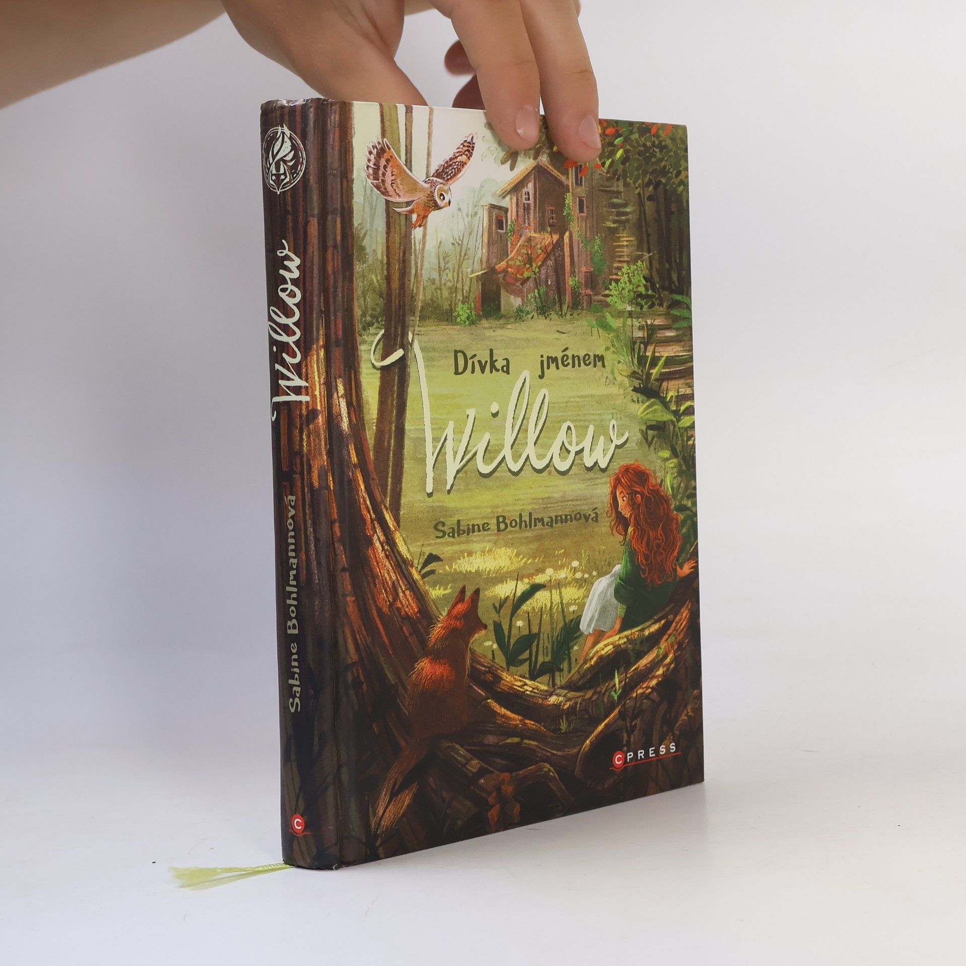 Sabine Bohlmann Dívka jménem Willow