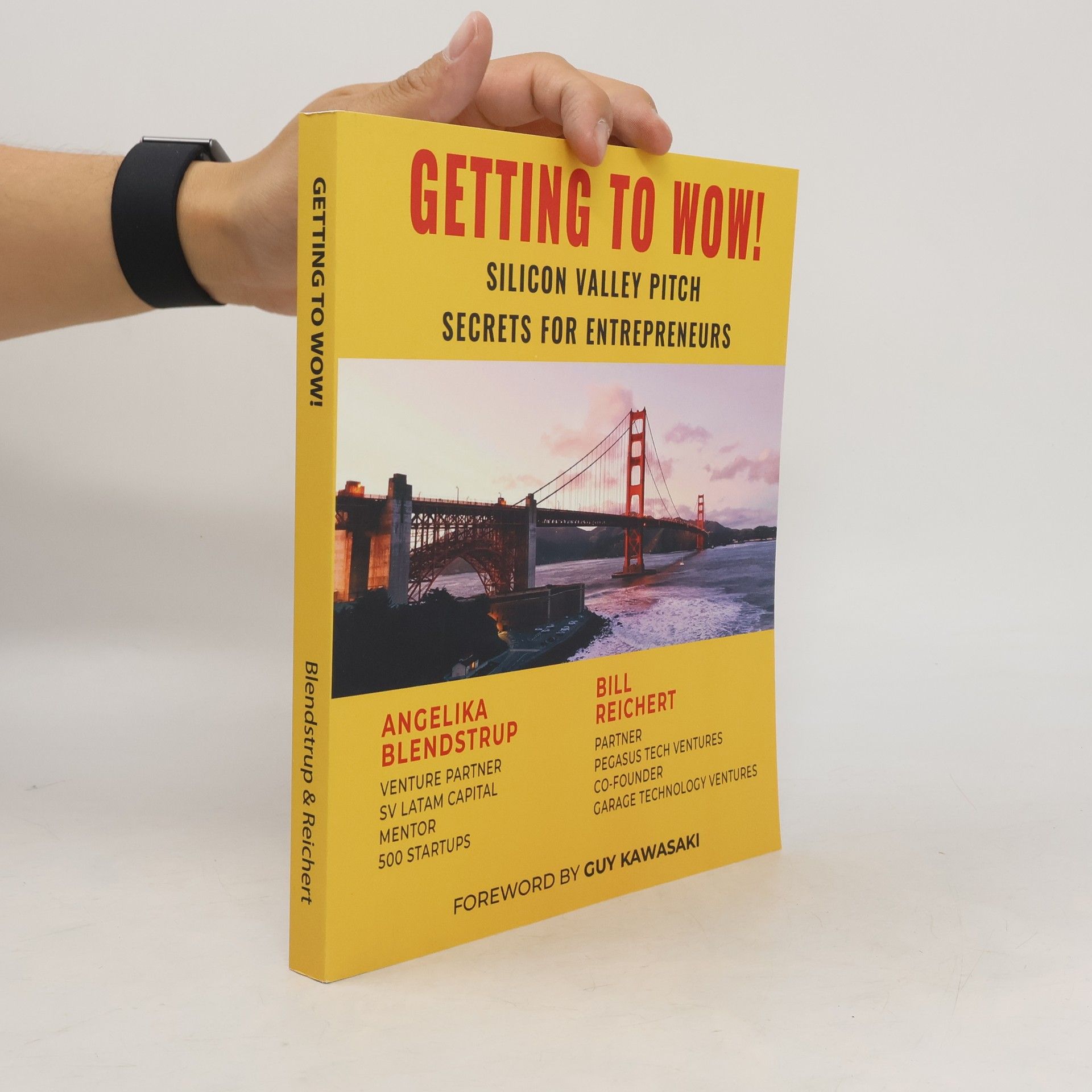 The Art of the Start Series: Getting to Wow! Silicon Valley Pitch Secrets for Entrepreneurs