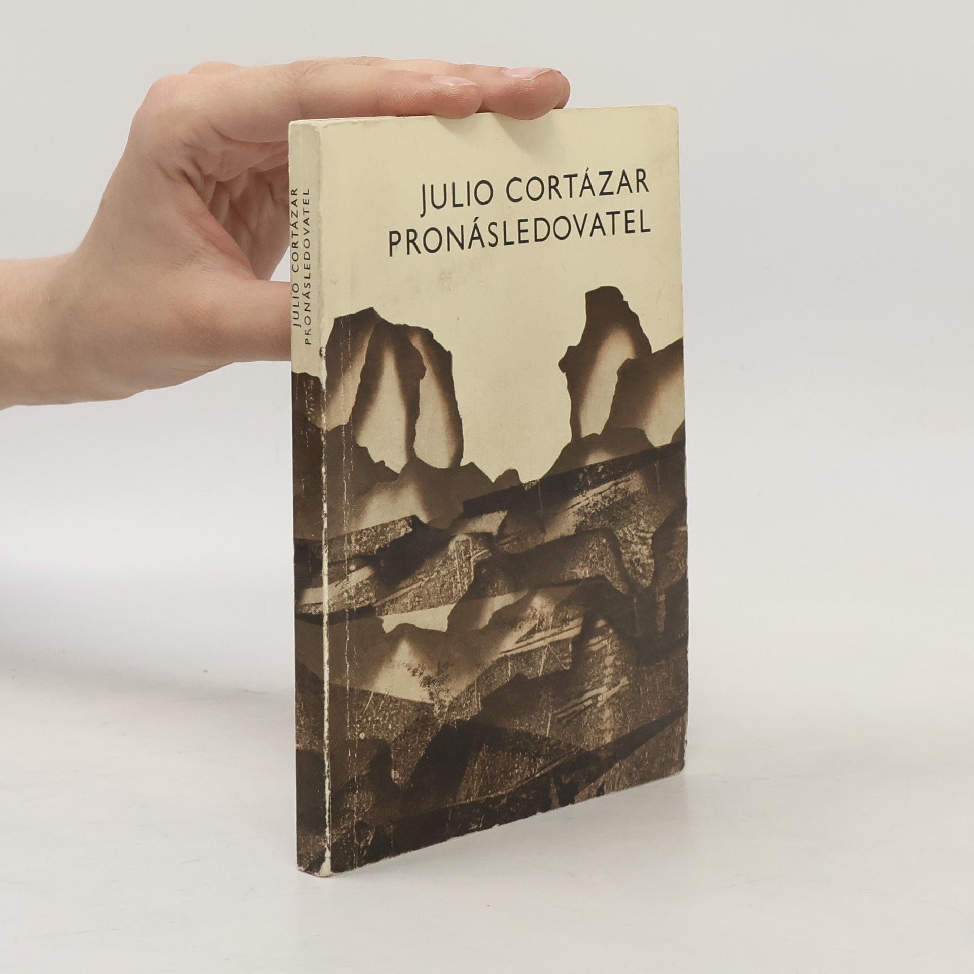 Julio Cortázar Pronásledovatel
