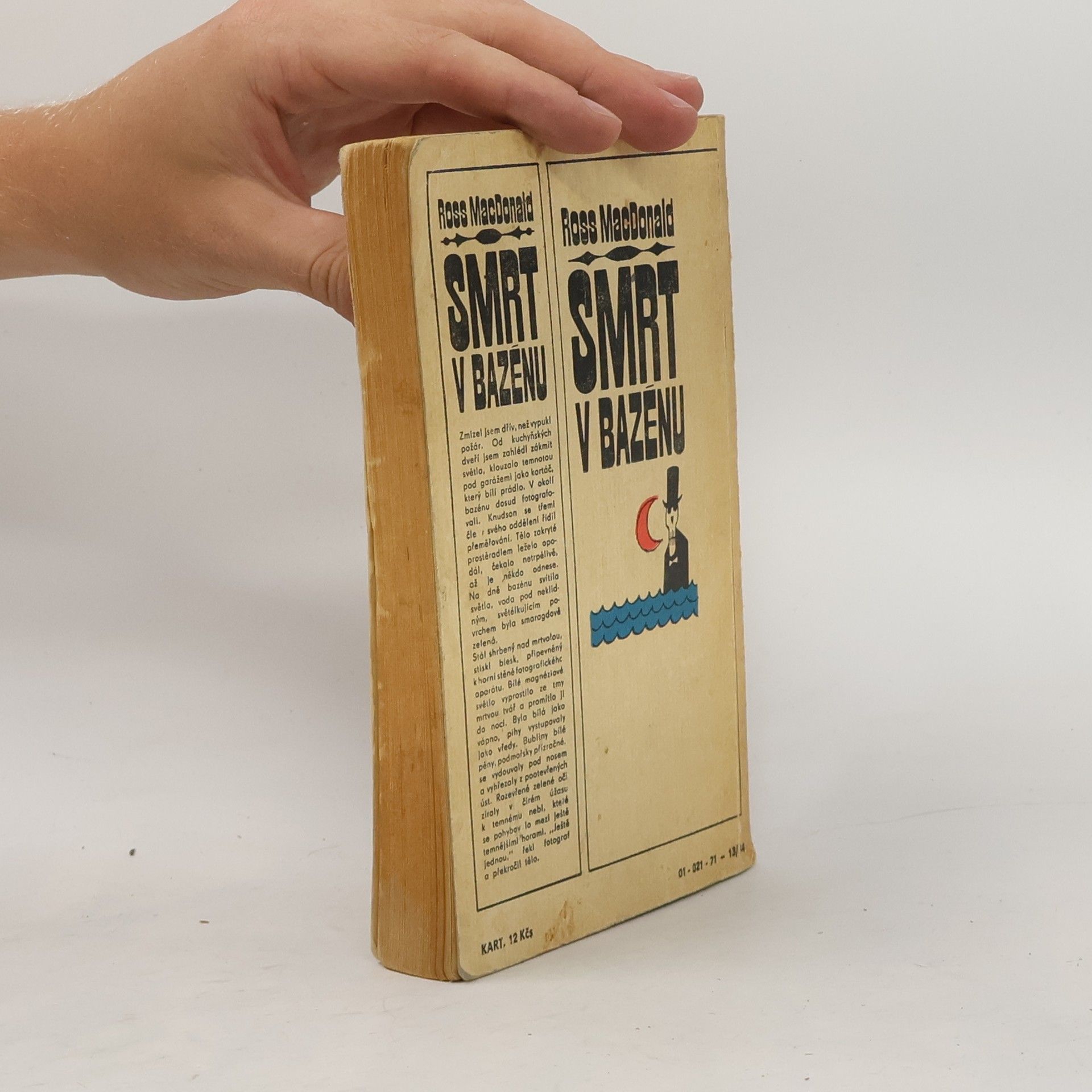 Ross Macdonald Smrt v bazénu