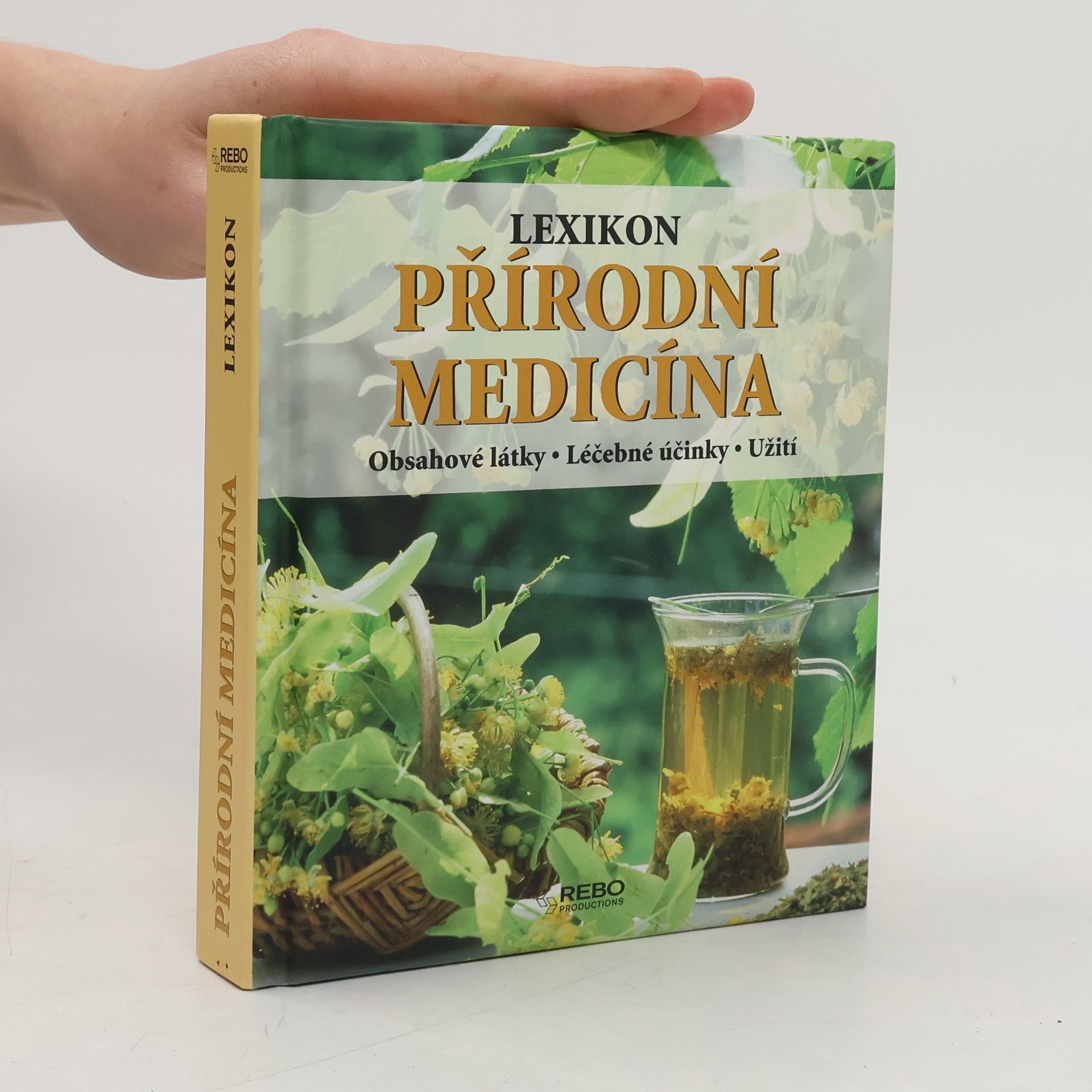 Anne Iburg Lexikon přírodní medicíny