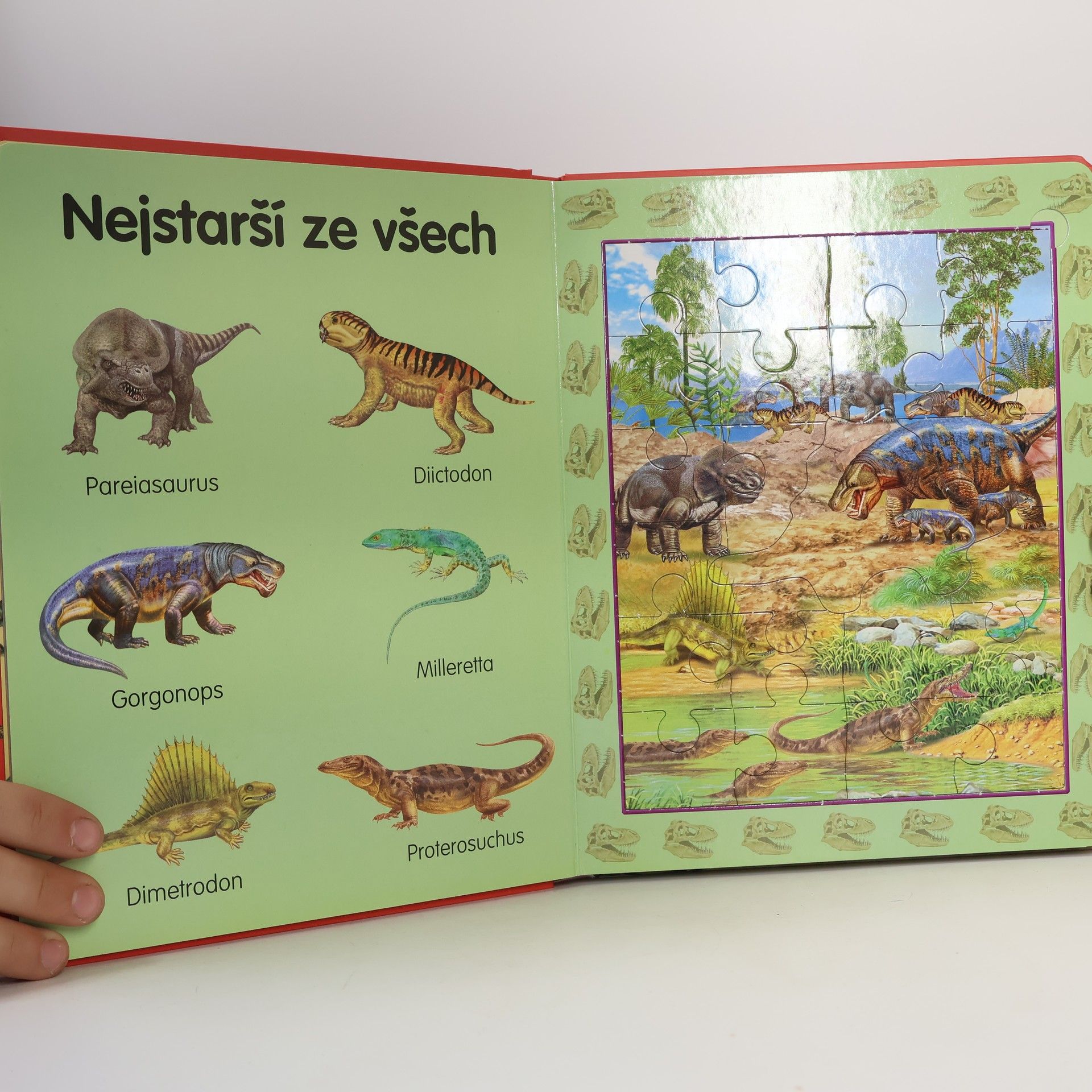 Marcela Grez Dinosauři : 8x puzzle