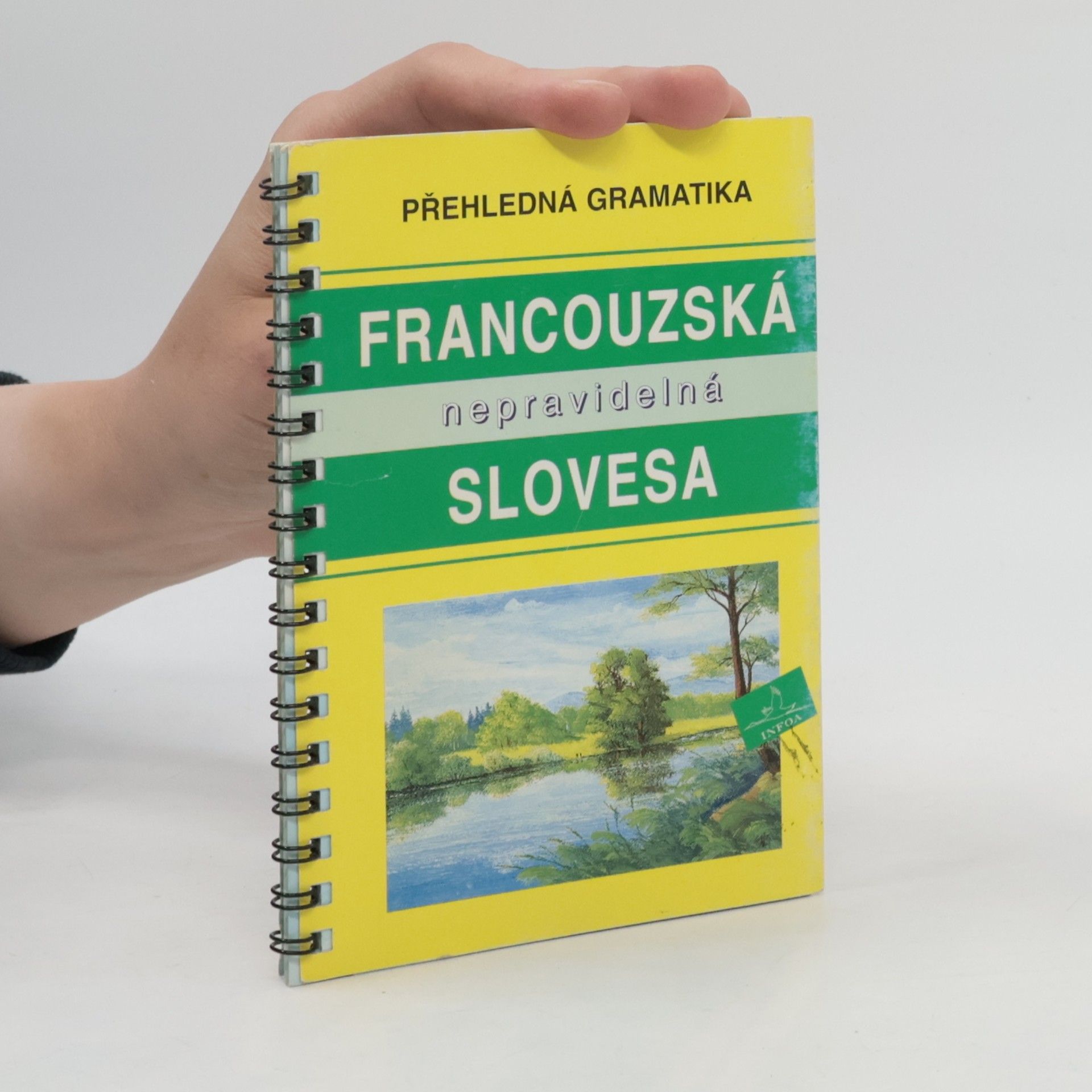 Autorenkollektiv Francouzská nepravidelná slovesa
