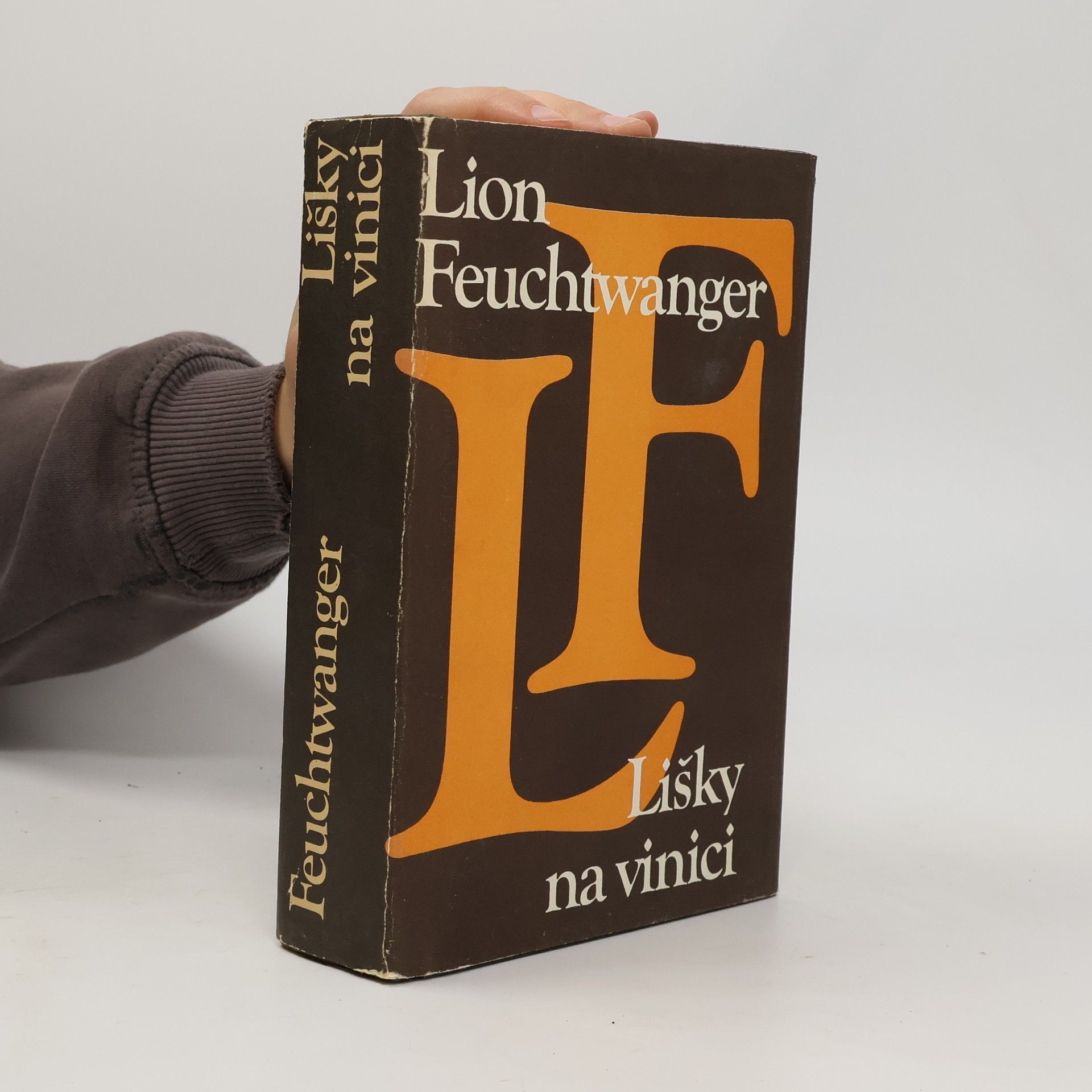 Lion Feuchtwanger Lišky na vinici