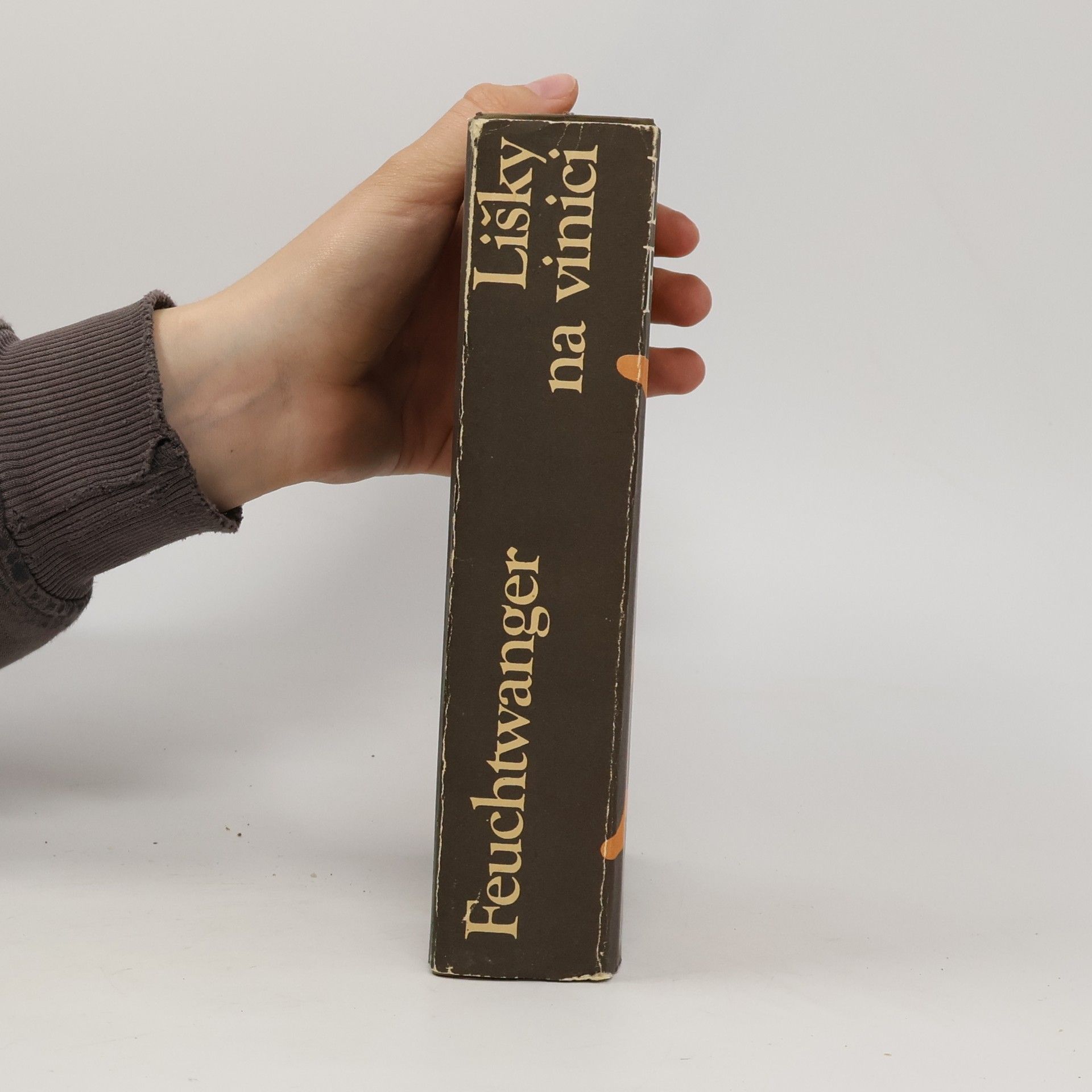 Lion Feuchtwanger Lišky na vinici