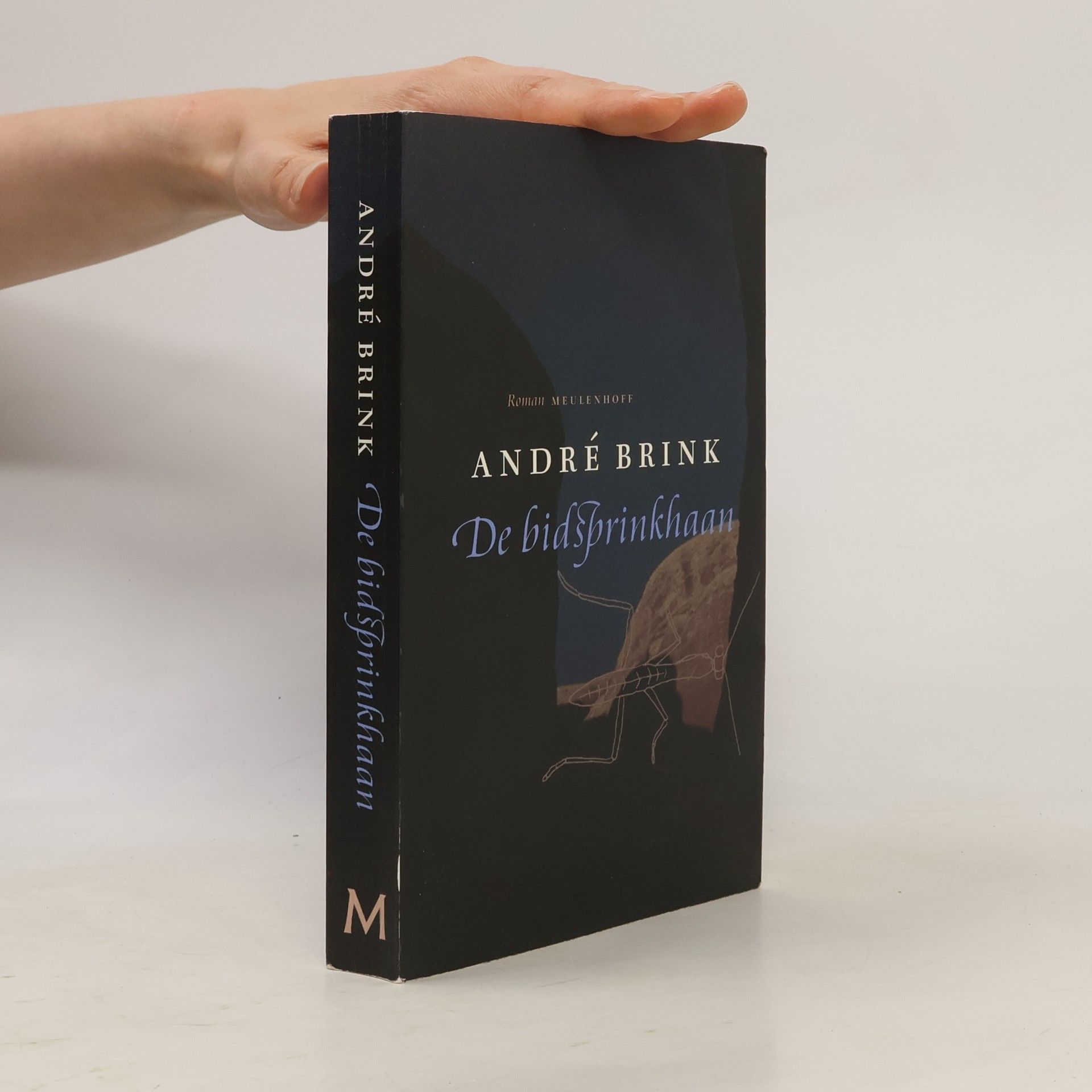 André Brink De bidsprinkhaan
