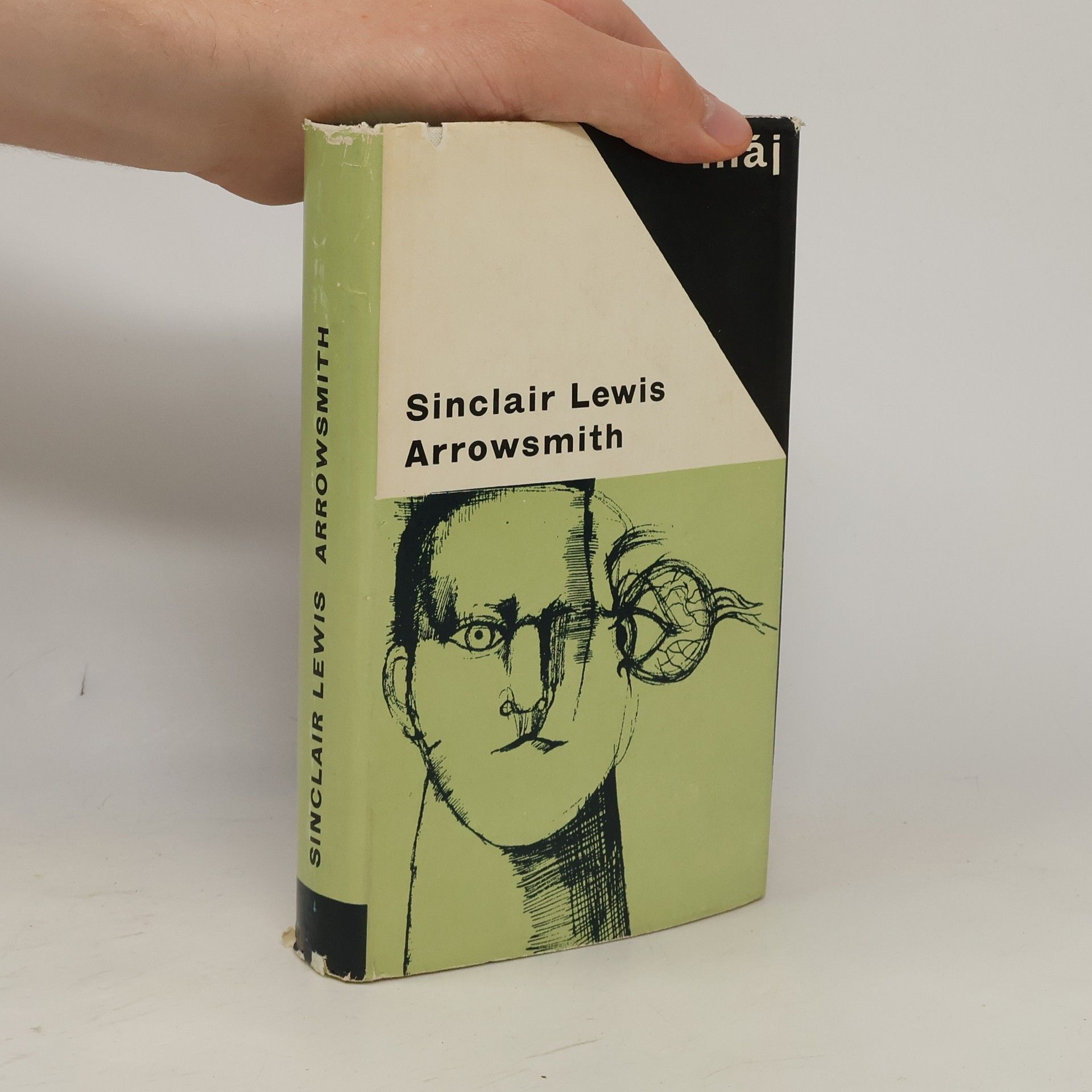 Sinclair Lewis Arrowsmith